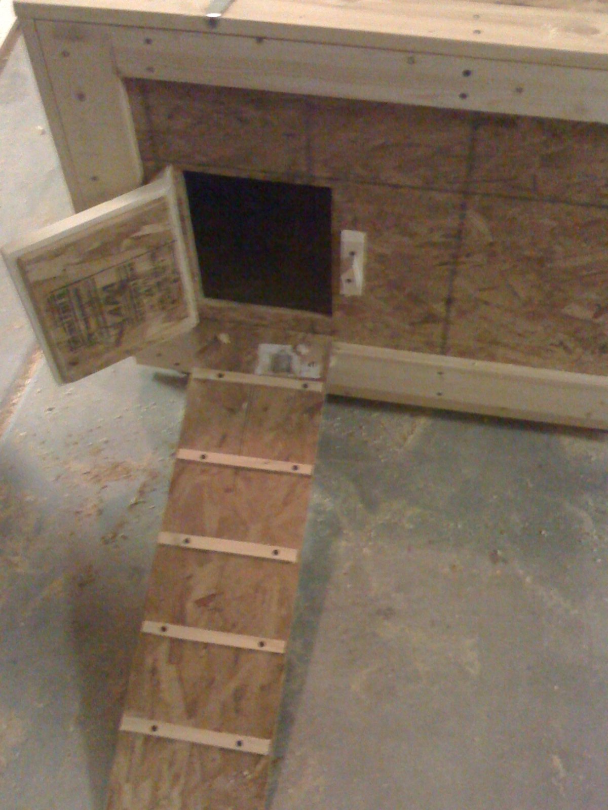 Brooder 1