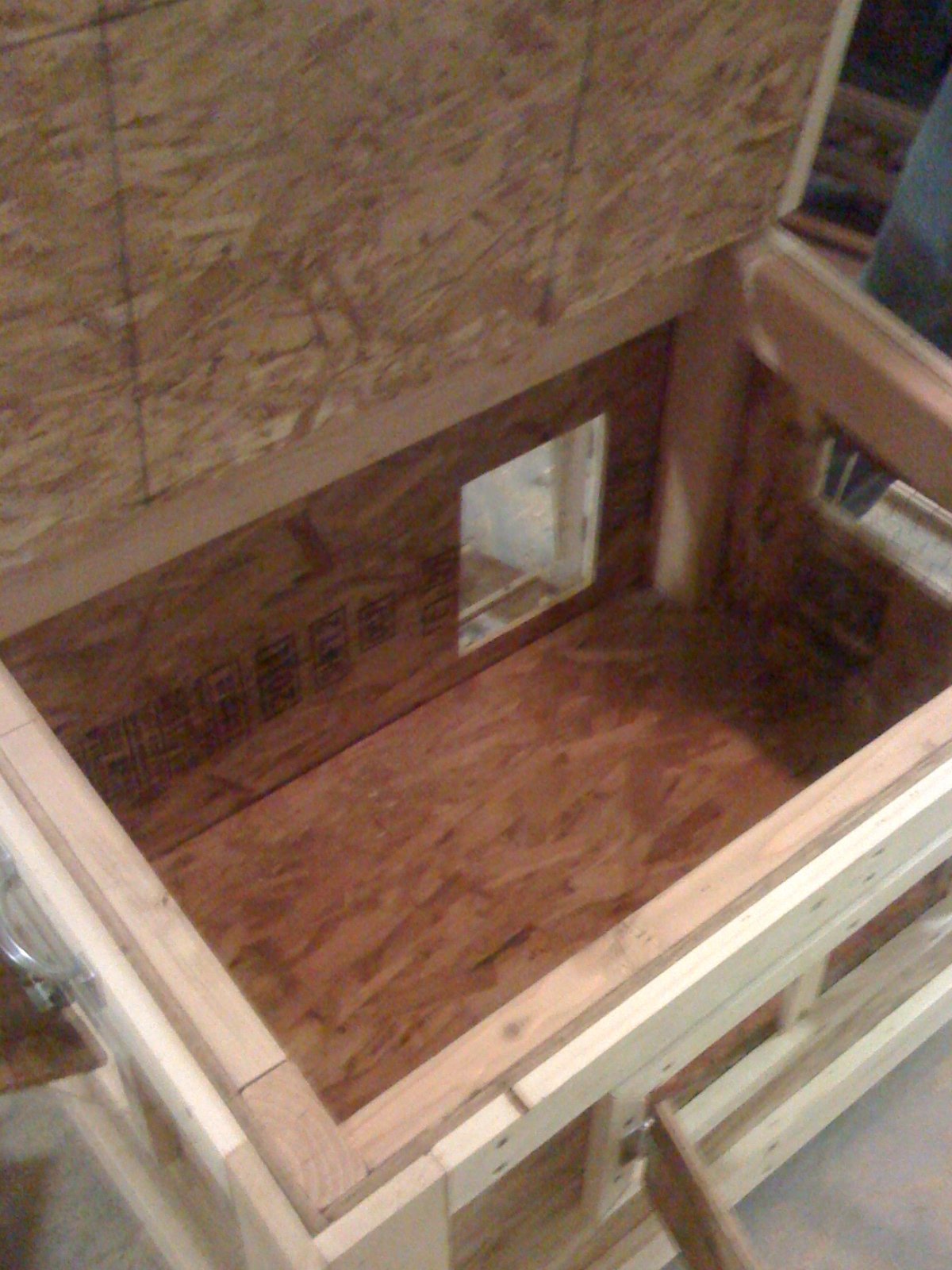 Brooder 1