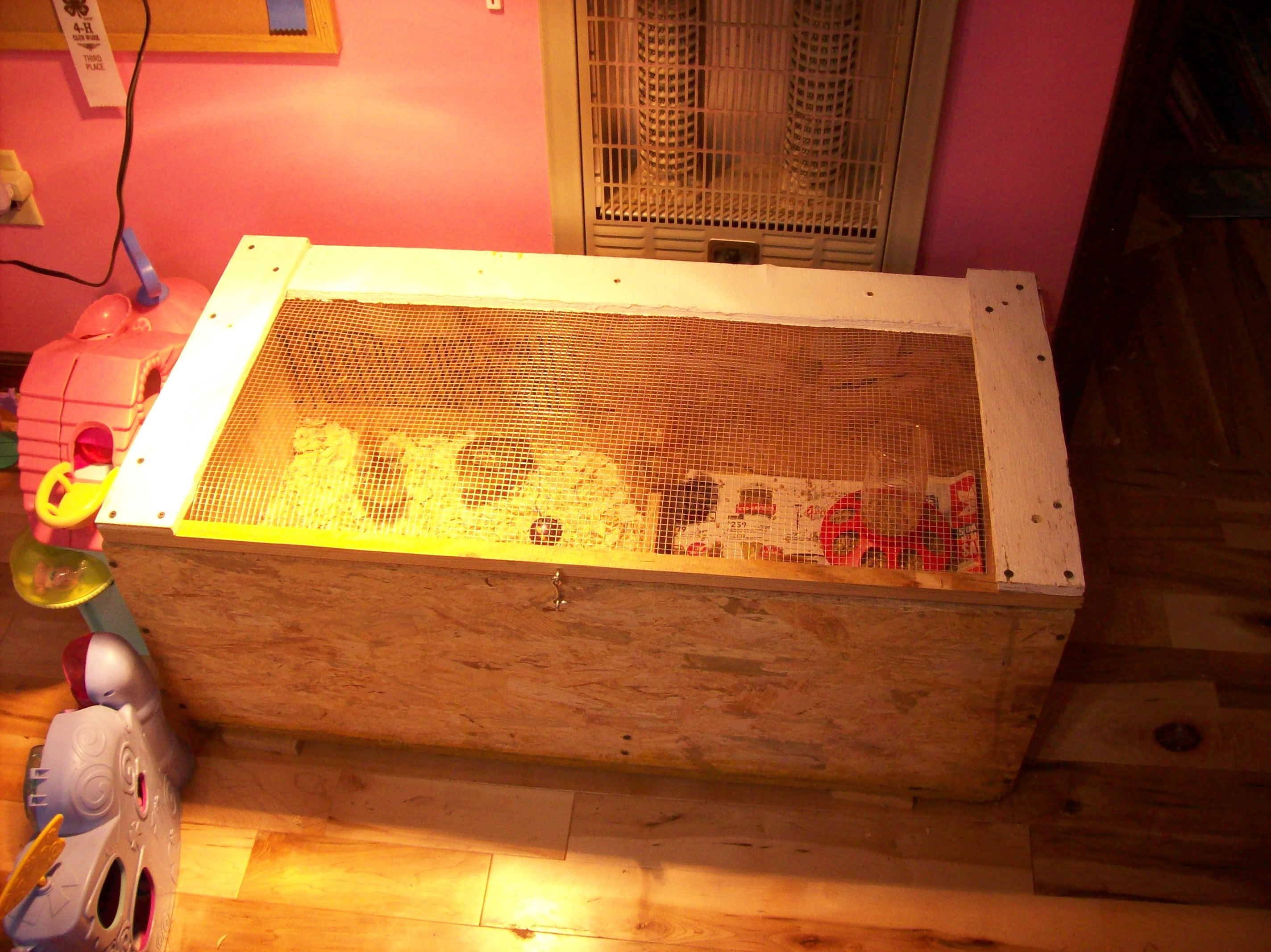 Brooder #2.   1/5' x 3'    5/27/13