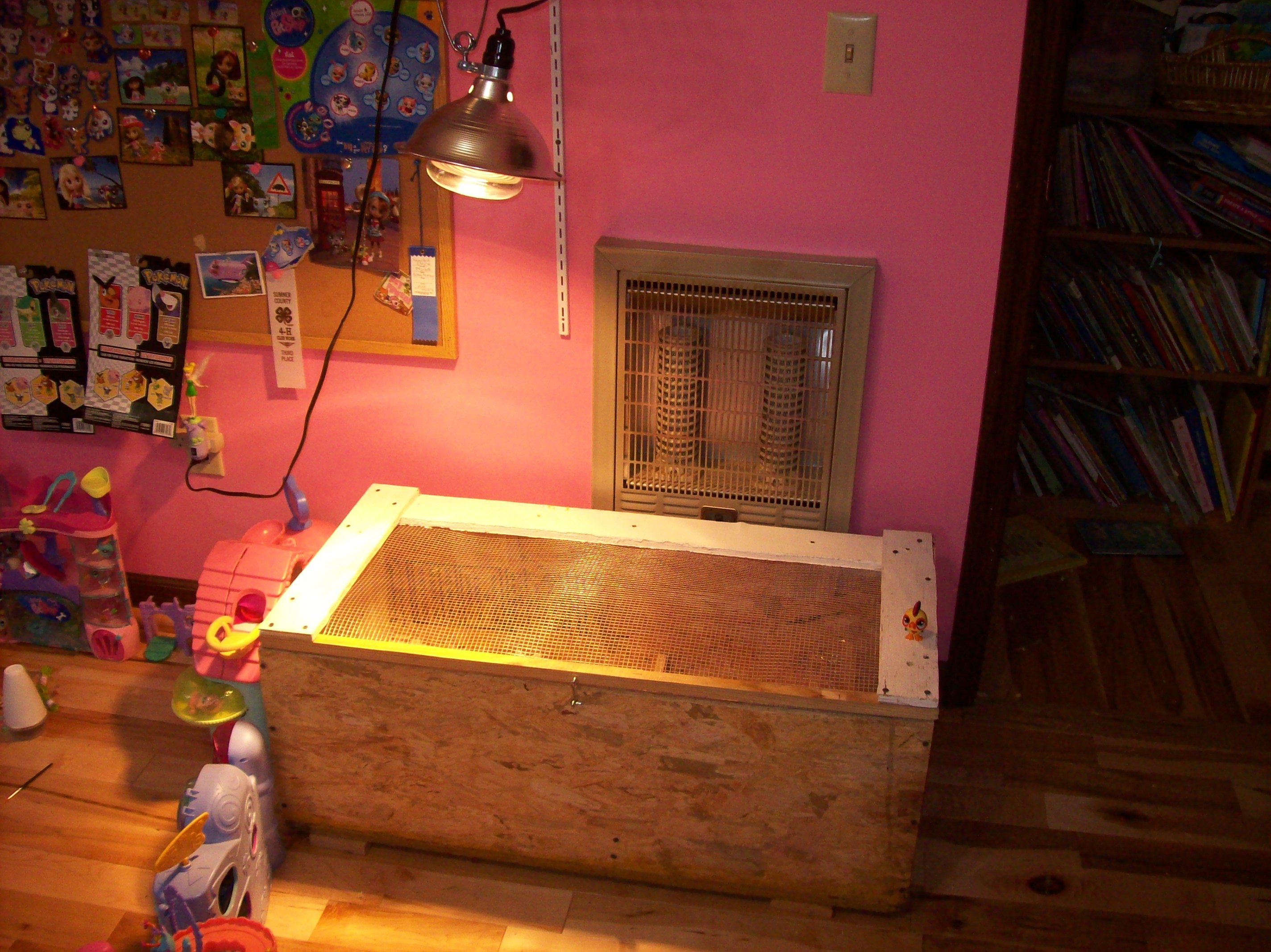 Brooder #2.   1/5' x 3'    5/27/13