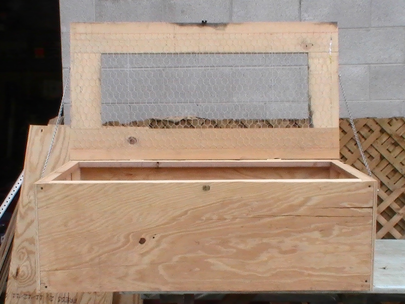 brooder box #1