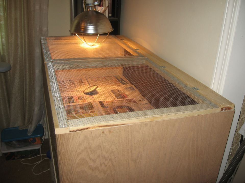 Brooder Box set up