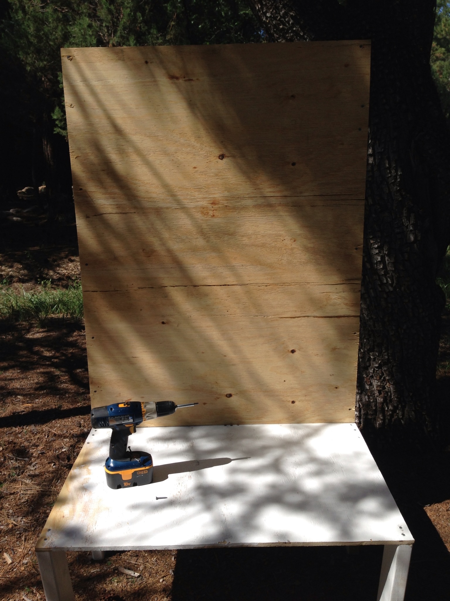 Brooder cabinet