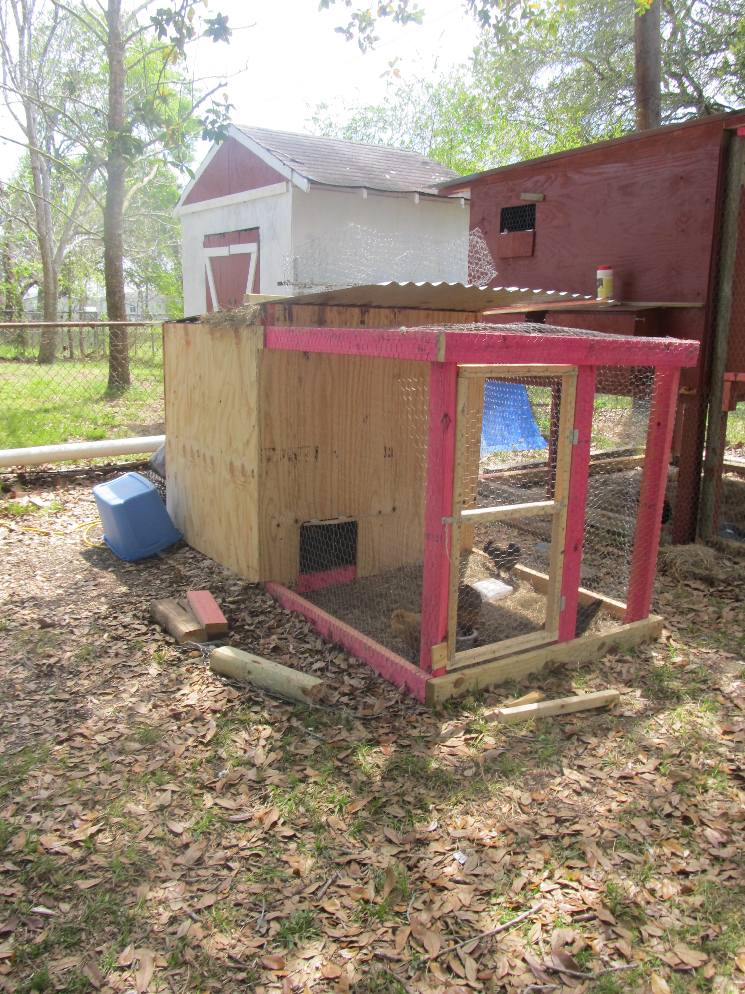 Brooder Coop
Front shot