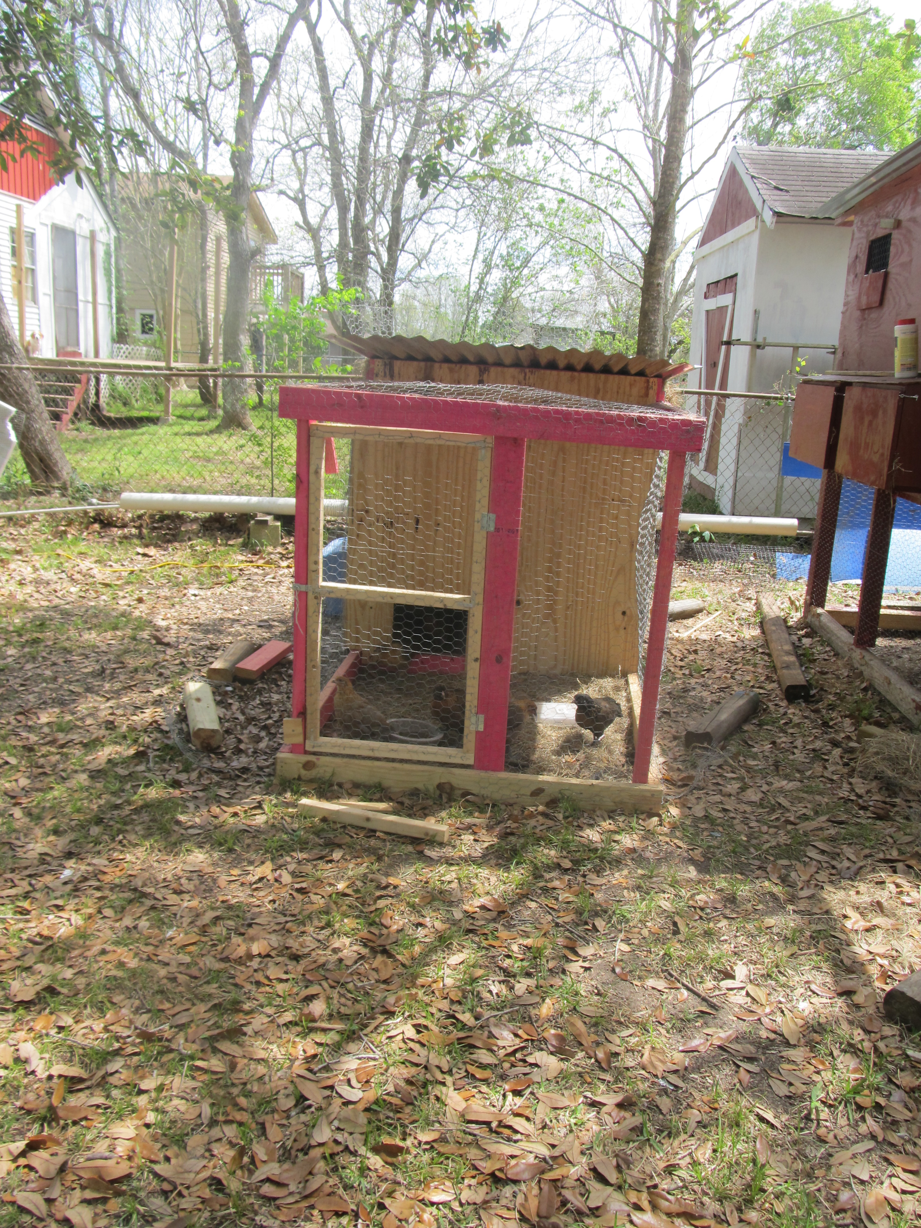 Brooder Coop
front shot