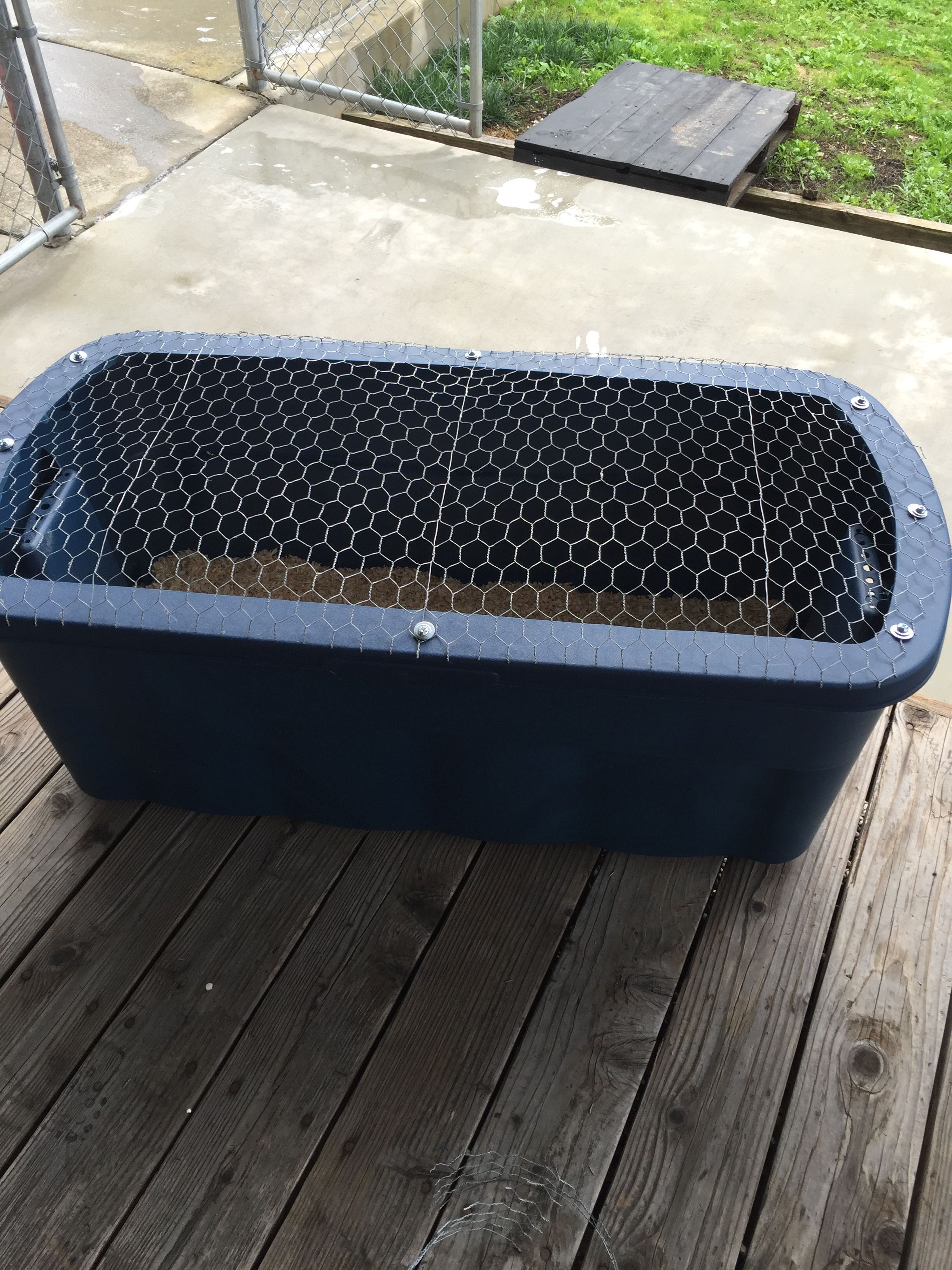 Brooder I just put together