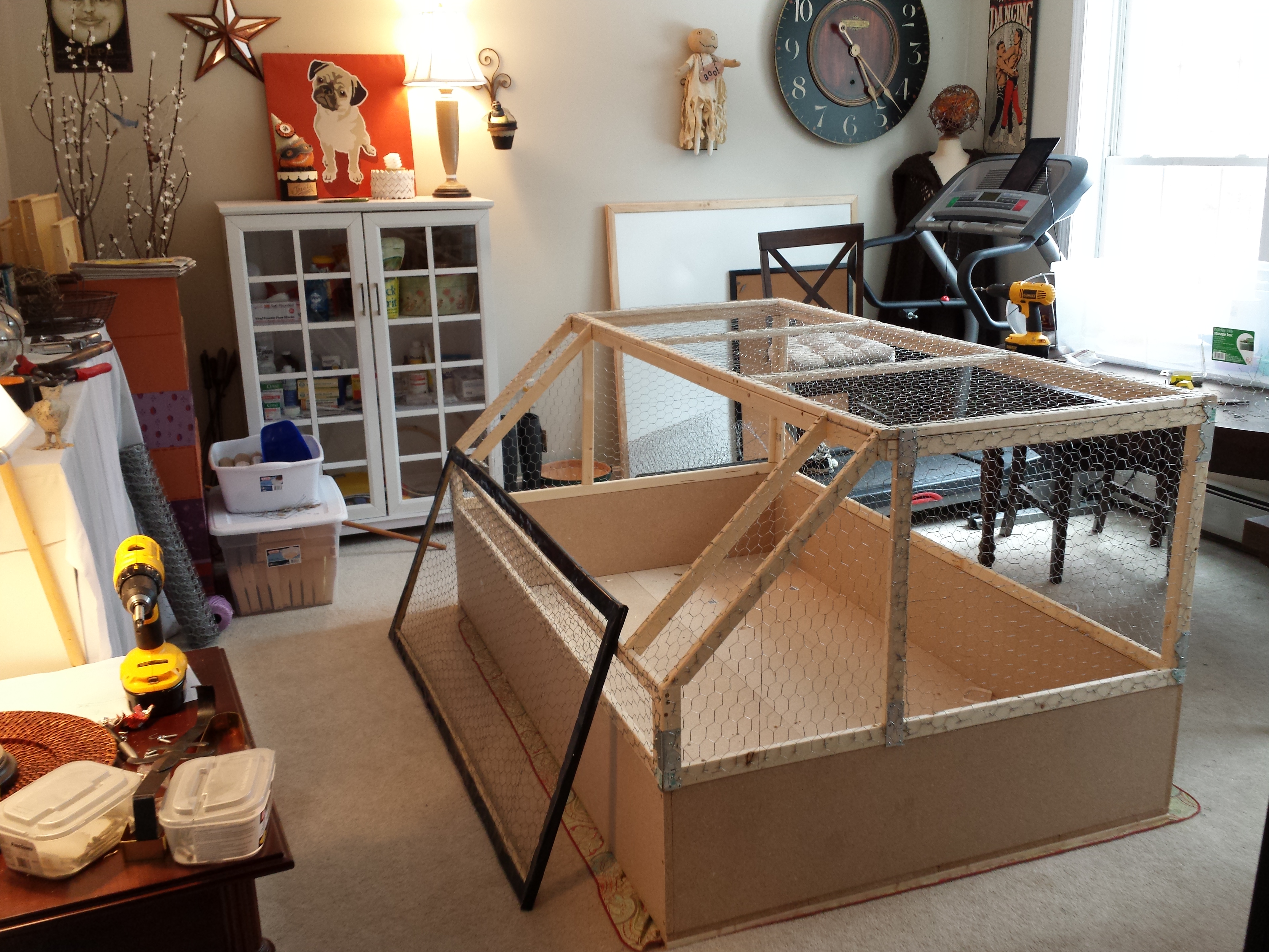 Brooder in the craft room