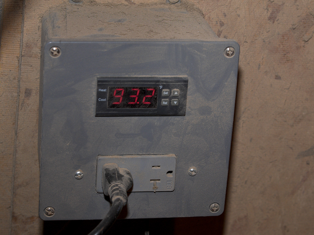 Brooder thermostat