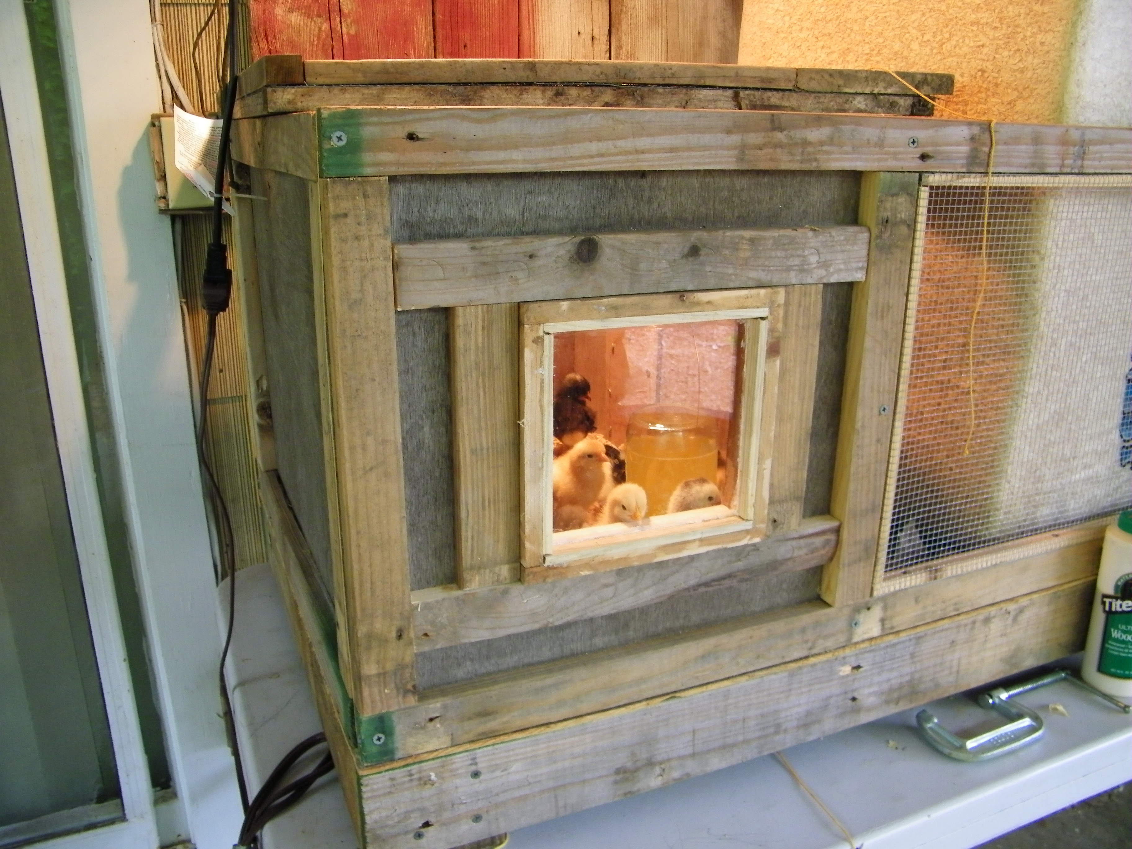 Brooder without the lid and stand.