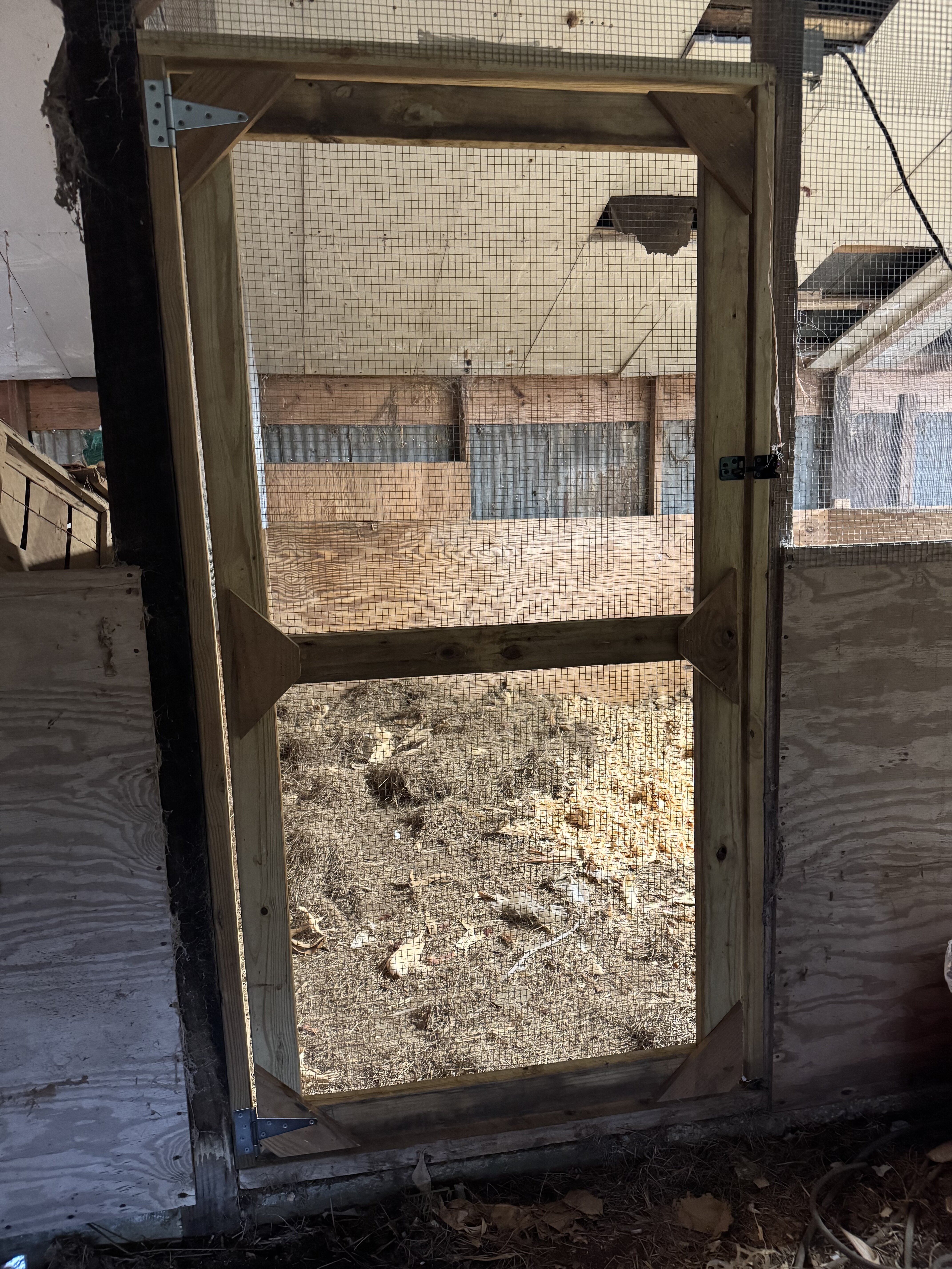 brooder_pit_two.jpeg