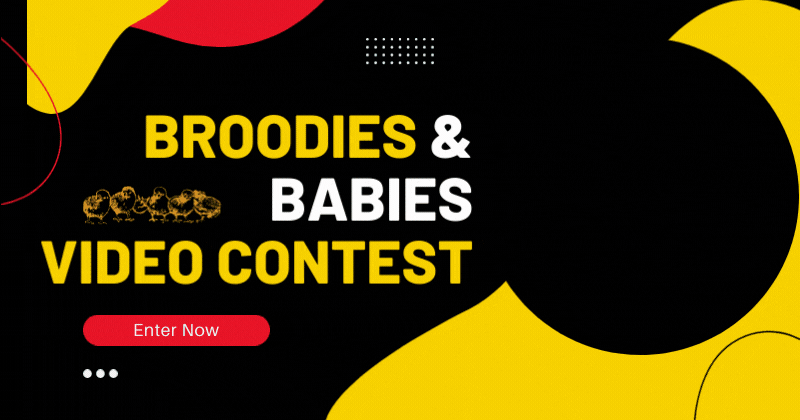 Broodies & Babies Video Contest