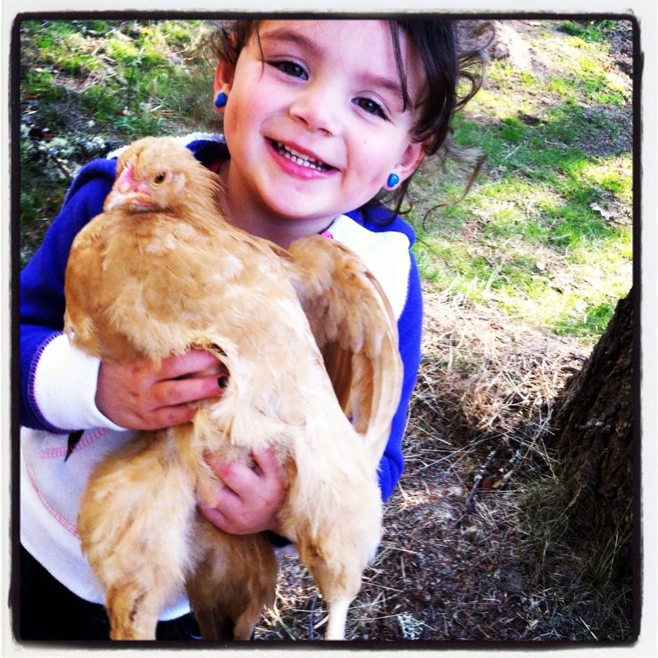 Brooklyn And Nugget our Buff