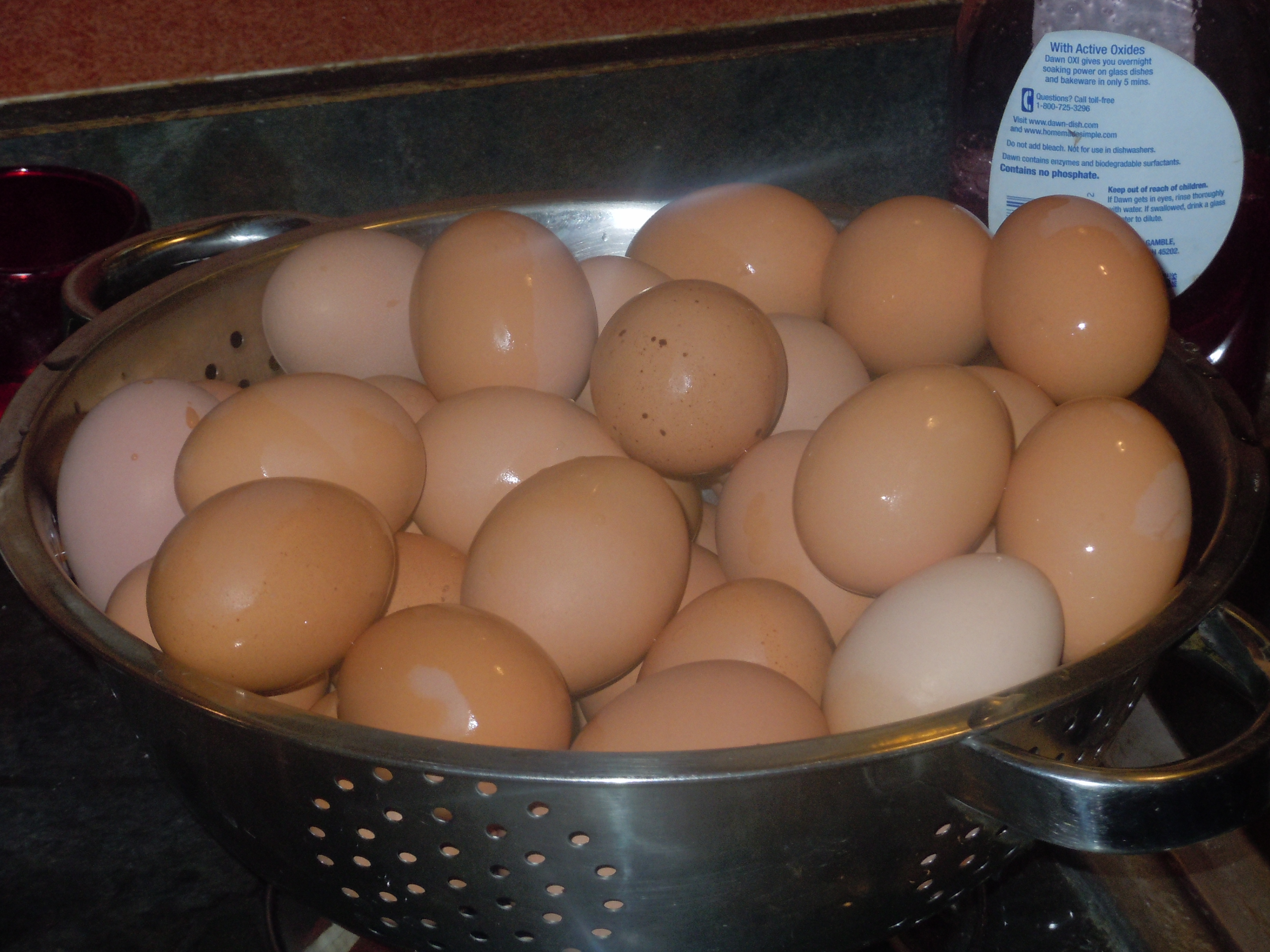 Brown eggs from BA's during the summer