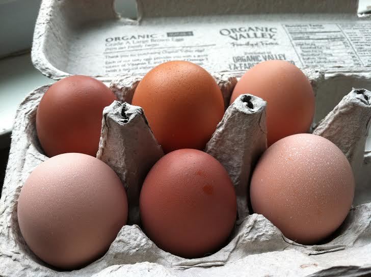 Brown eggs:  Marans, Golden Buff and Buff Orpington