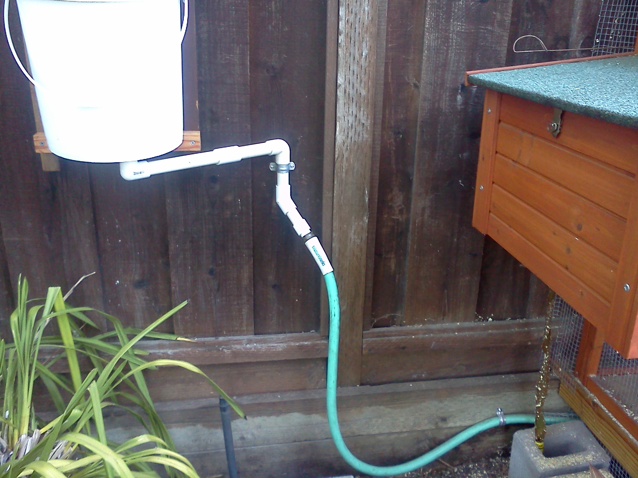 bucket for waterer connected by a flexible hose.