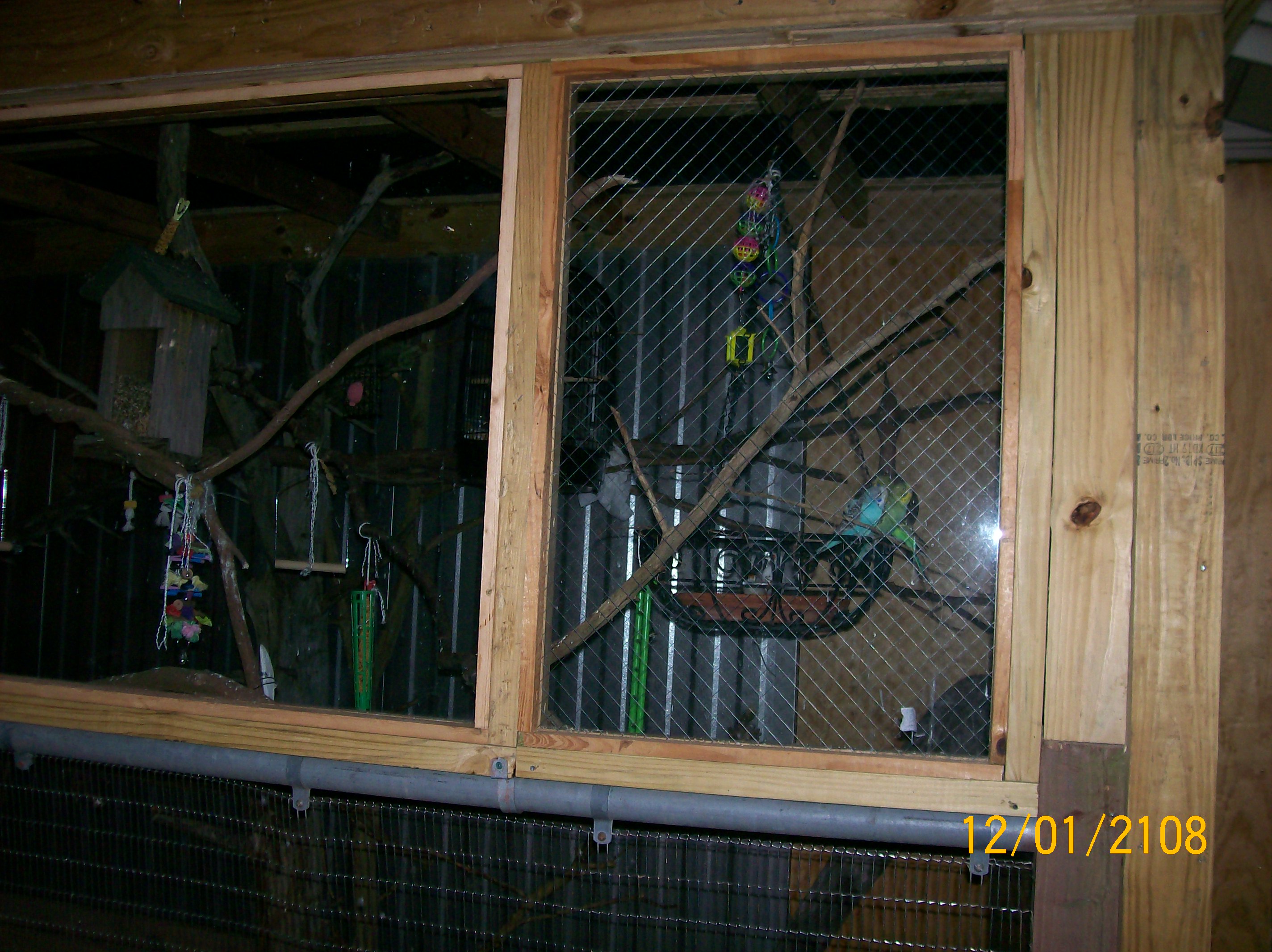 budgie and finch aviary