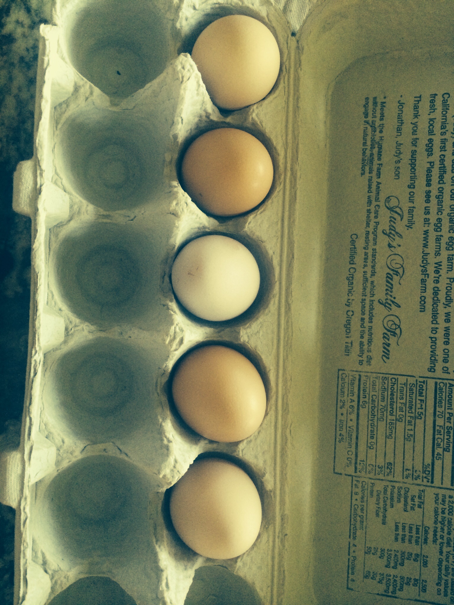 Buff Orpington's eggs