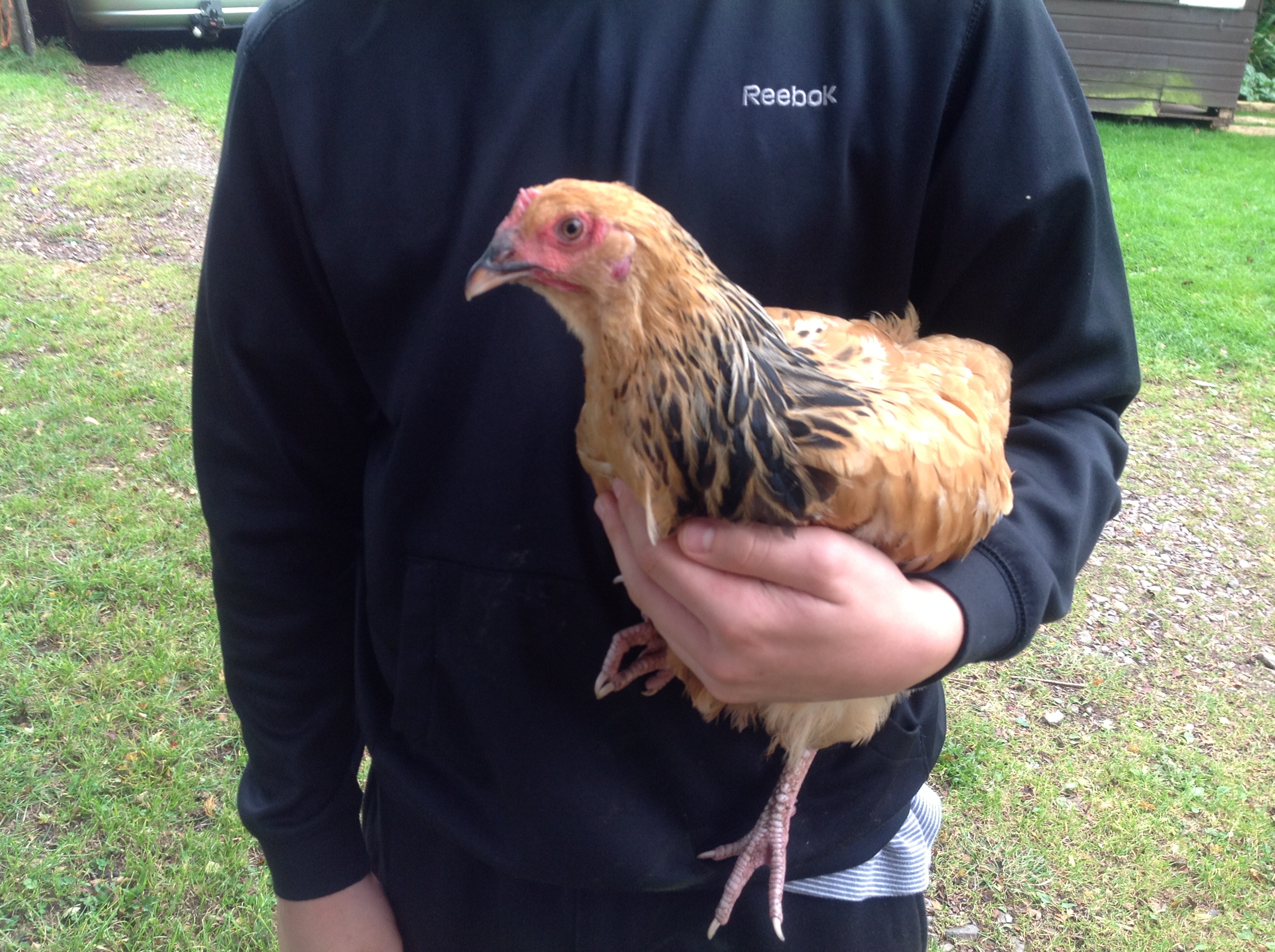 Buffs having a cuddle