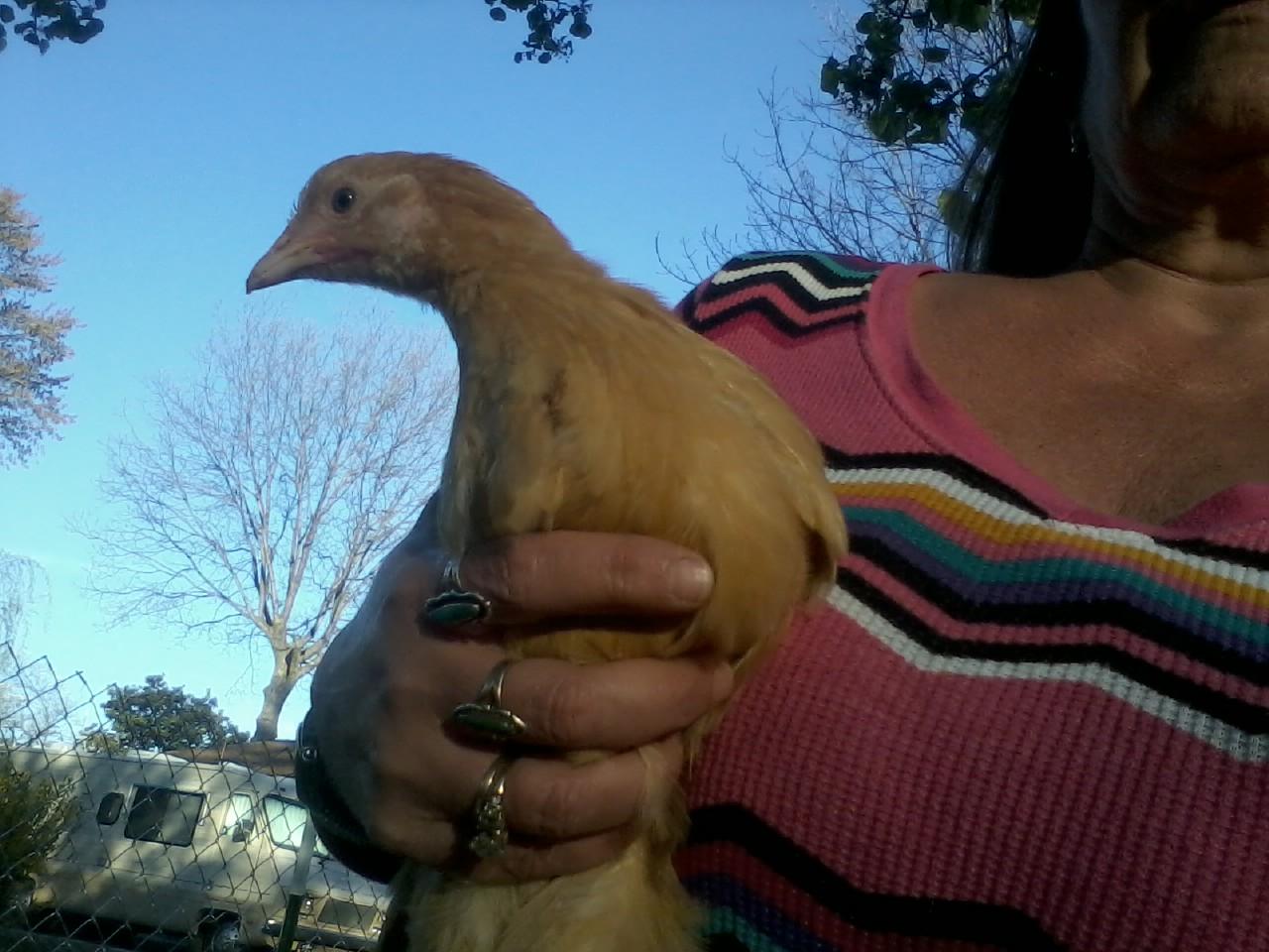 Buffy, styling and profiling