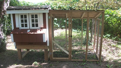 Building a Coop in the Suburbs
