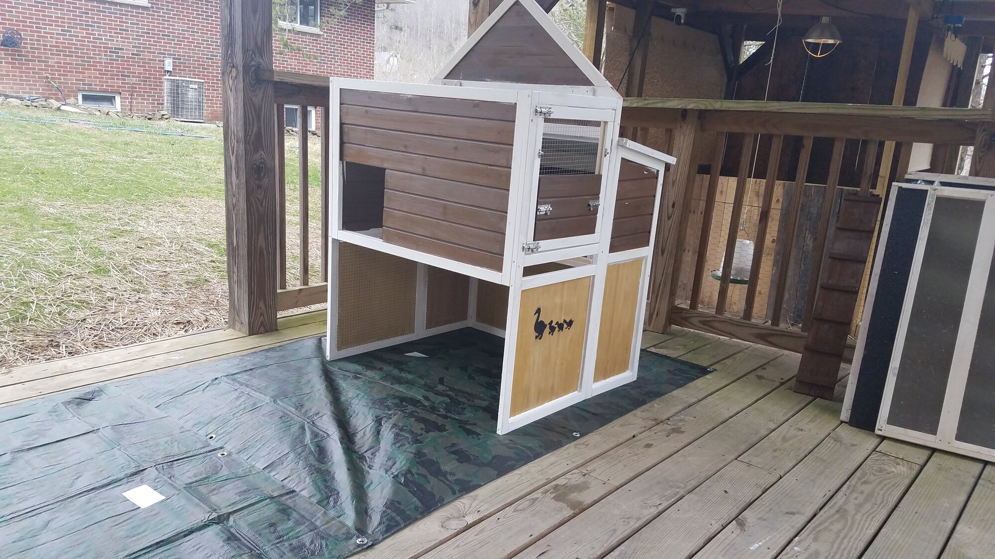 Building Duckling's Paradise