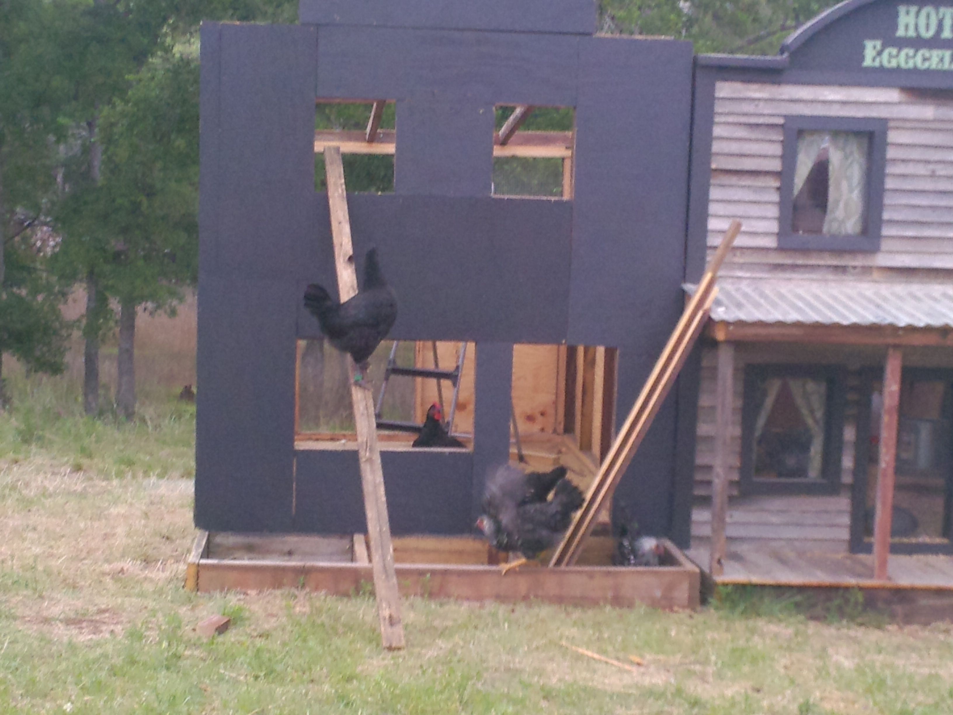 Building inspection