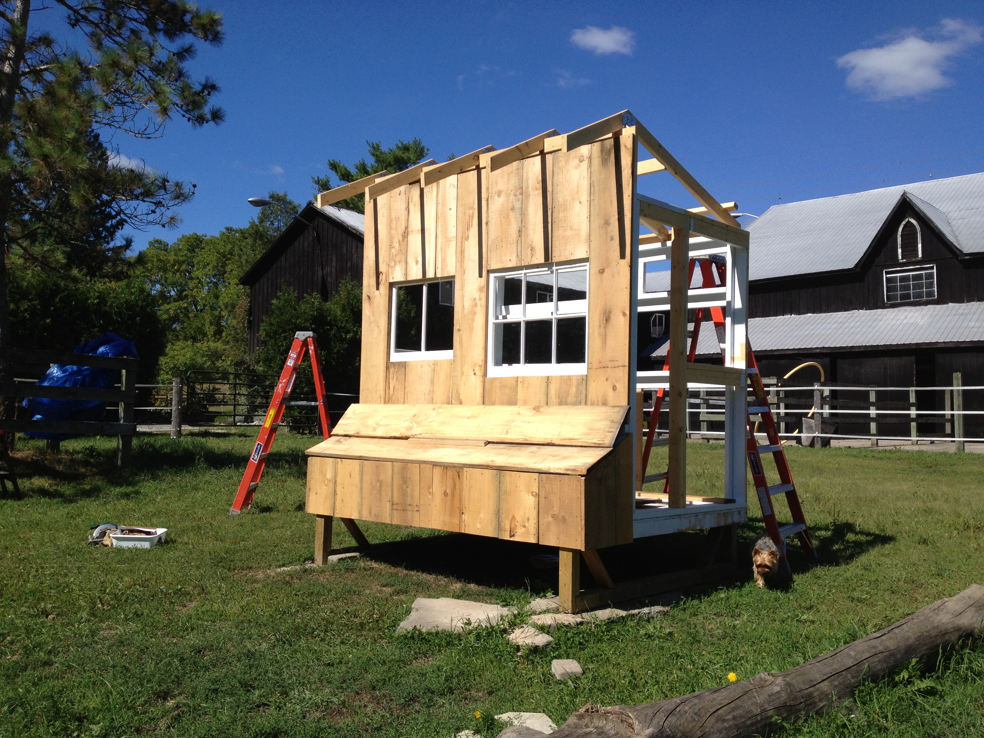 Building my Coop