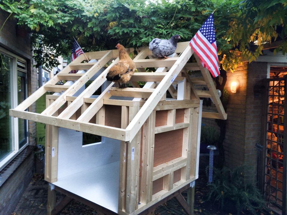 Building our new coop: our girls inspecting..I guess we did overestimate the conversion from US measurement to metric..LOL
(Our version of the famous trictle's Coop, see: http://www.backyardchickens.com/a/trictles-chicken-coop-with-plans)