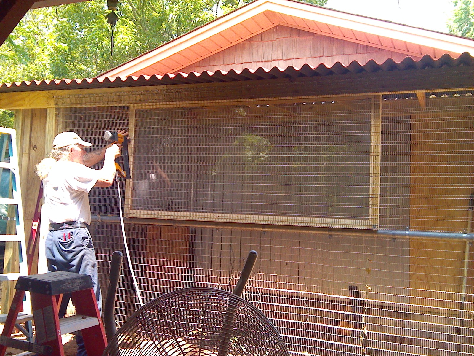 building the 1st coop