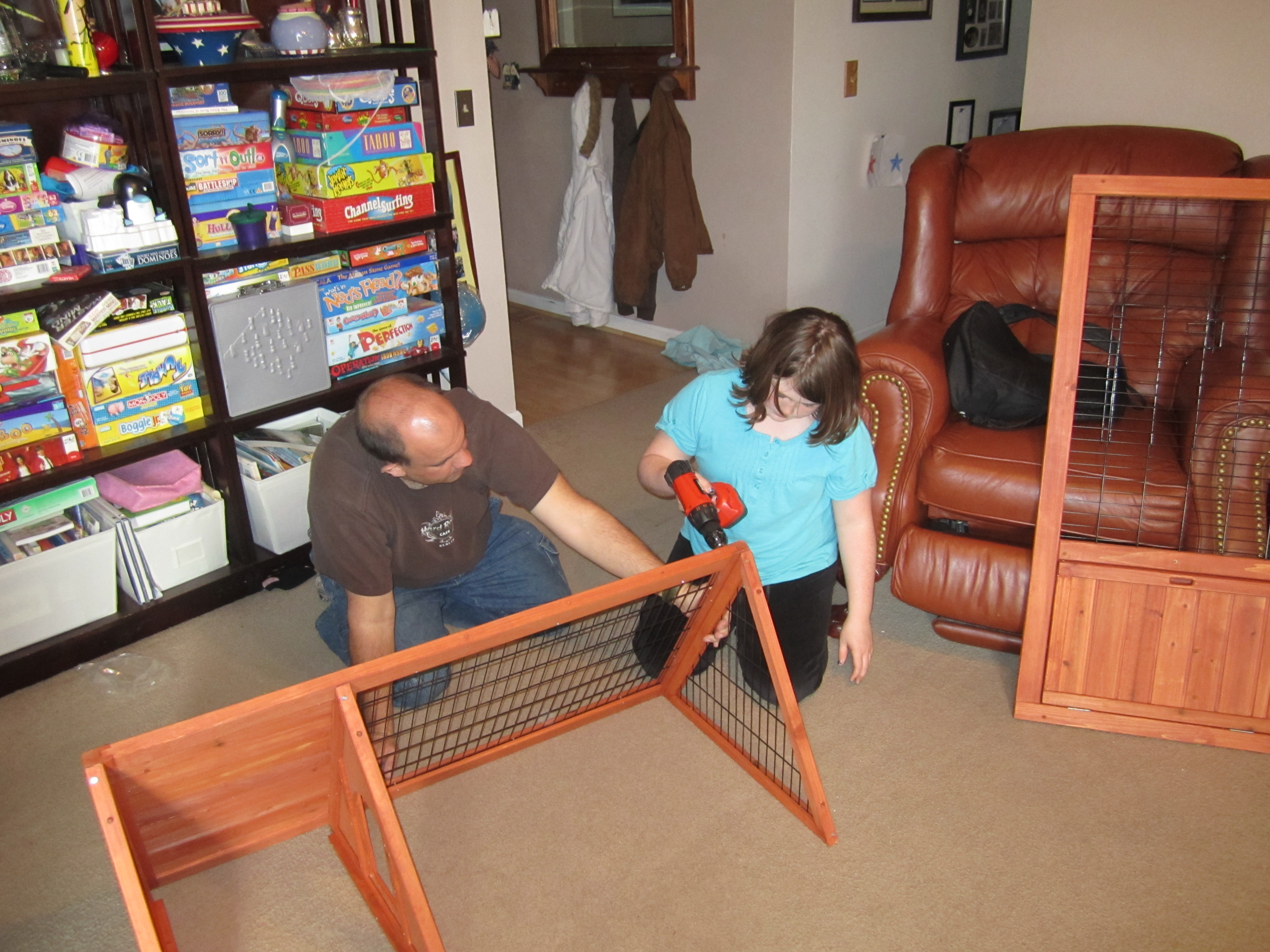 Building the coop