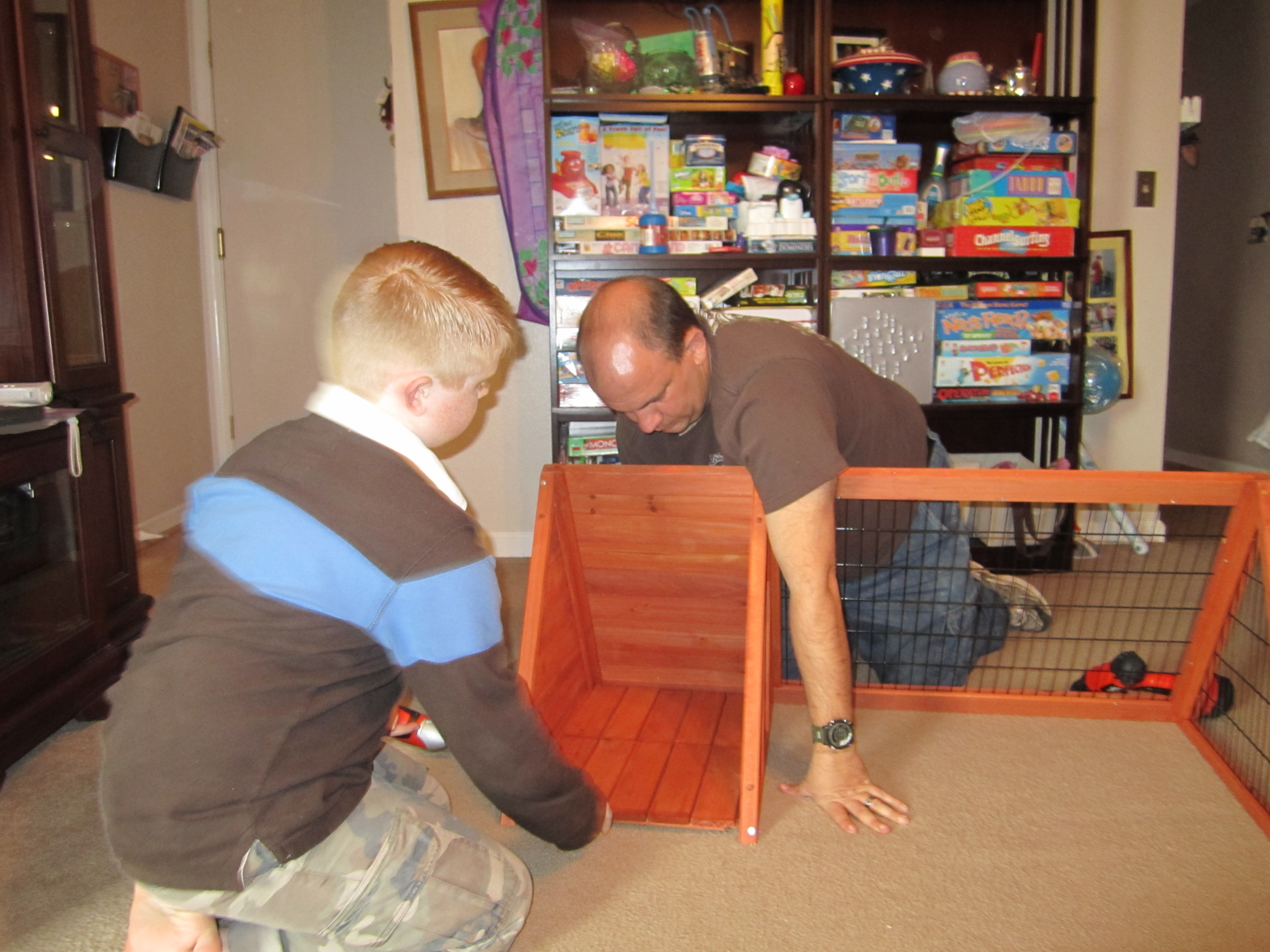 Building the coop