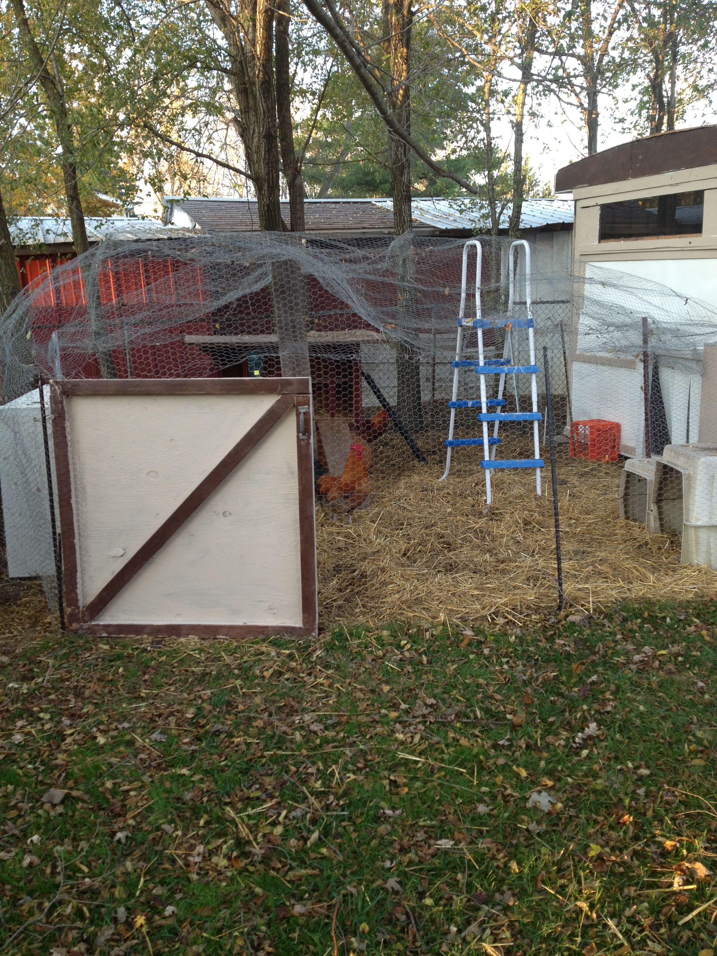 built a better door for the outside coop/run