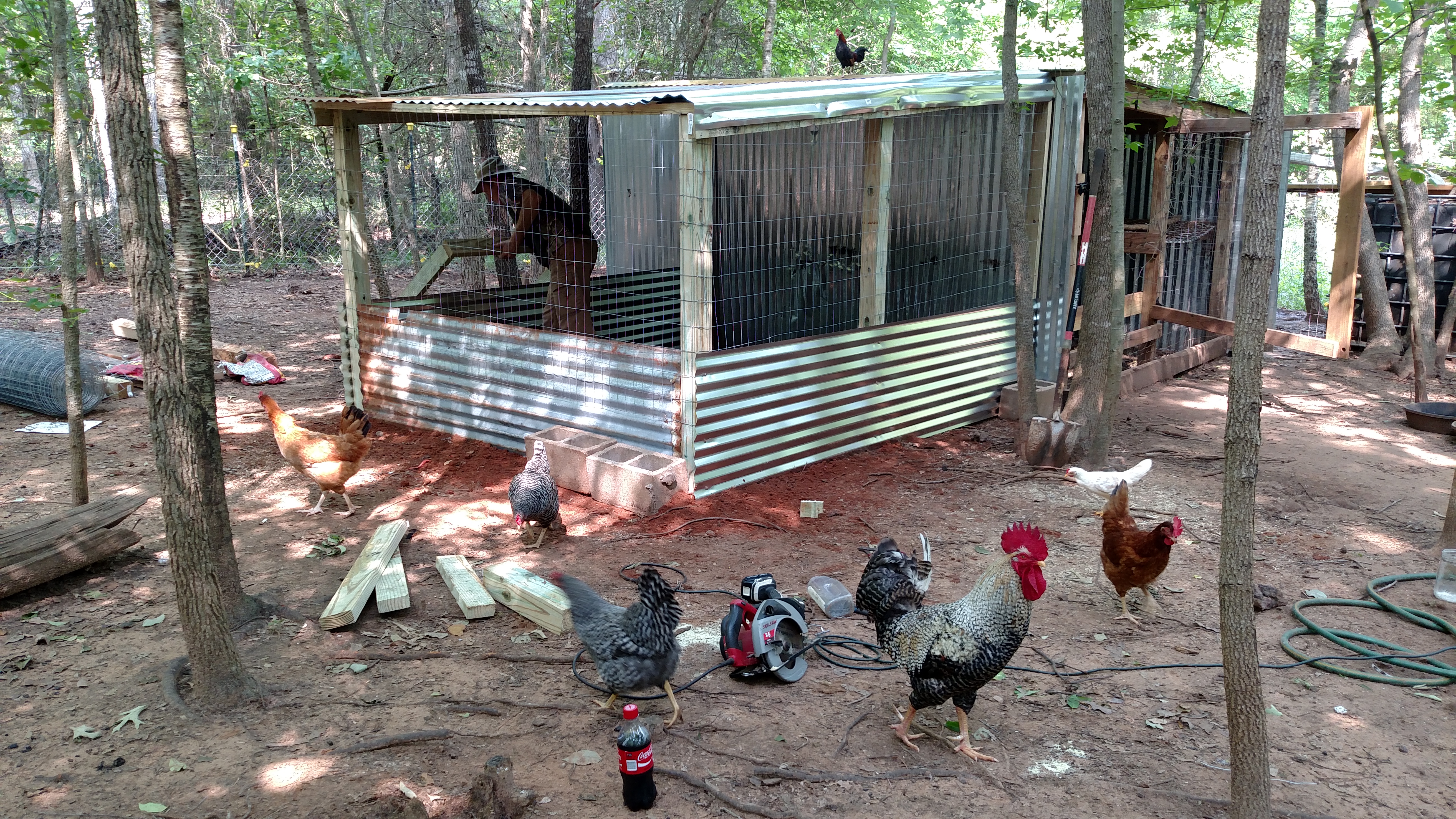 Built new brooder house.  Holds 2 hens.