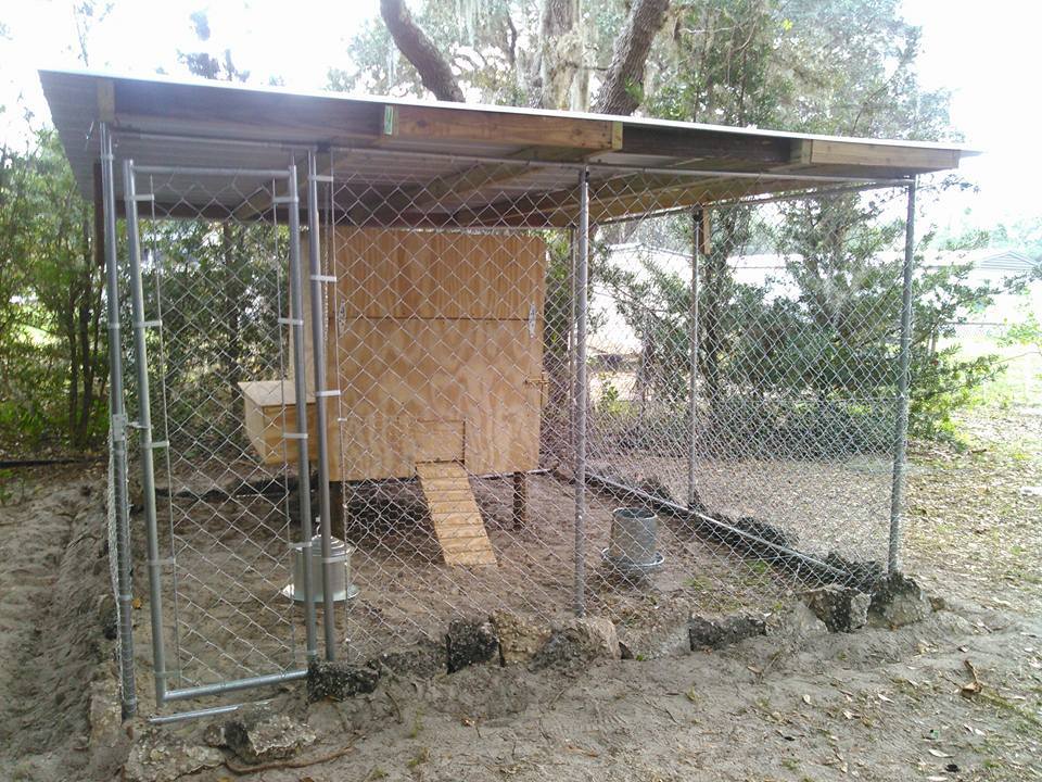 built roof on 10x10 dog run with 4x4x4 home inside and brood box off