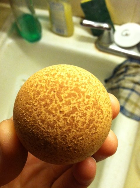 bumpy maran egg