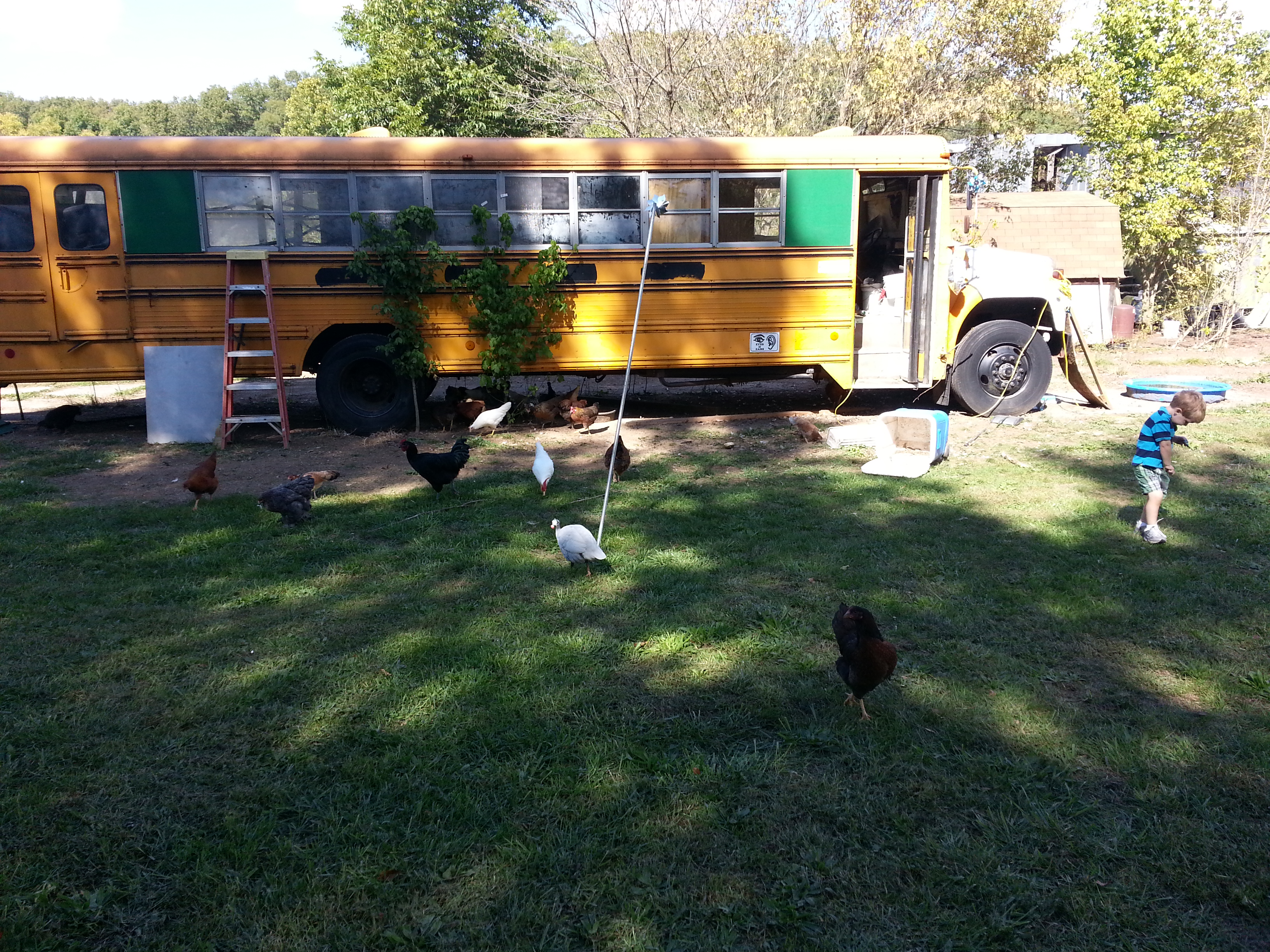 Bus Chicken coop from outside.