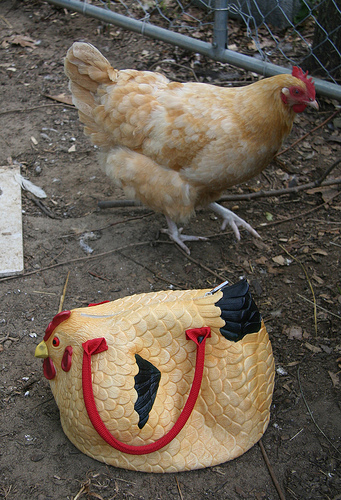 Buttercup and The Purse