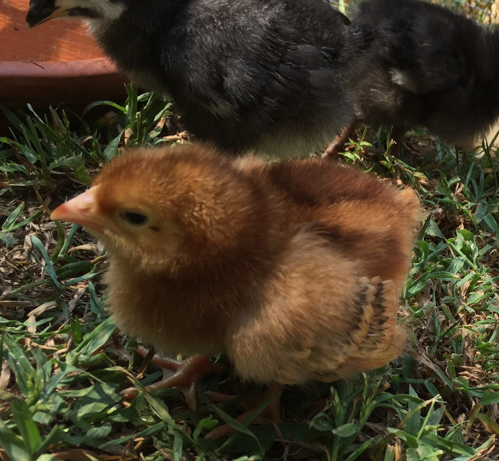 C9115F55-059B-4886-894A-E869A7505020