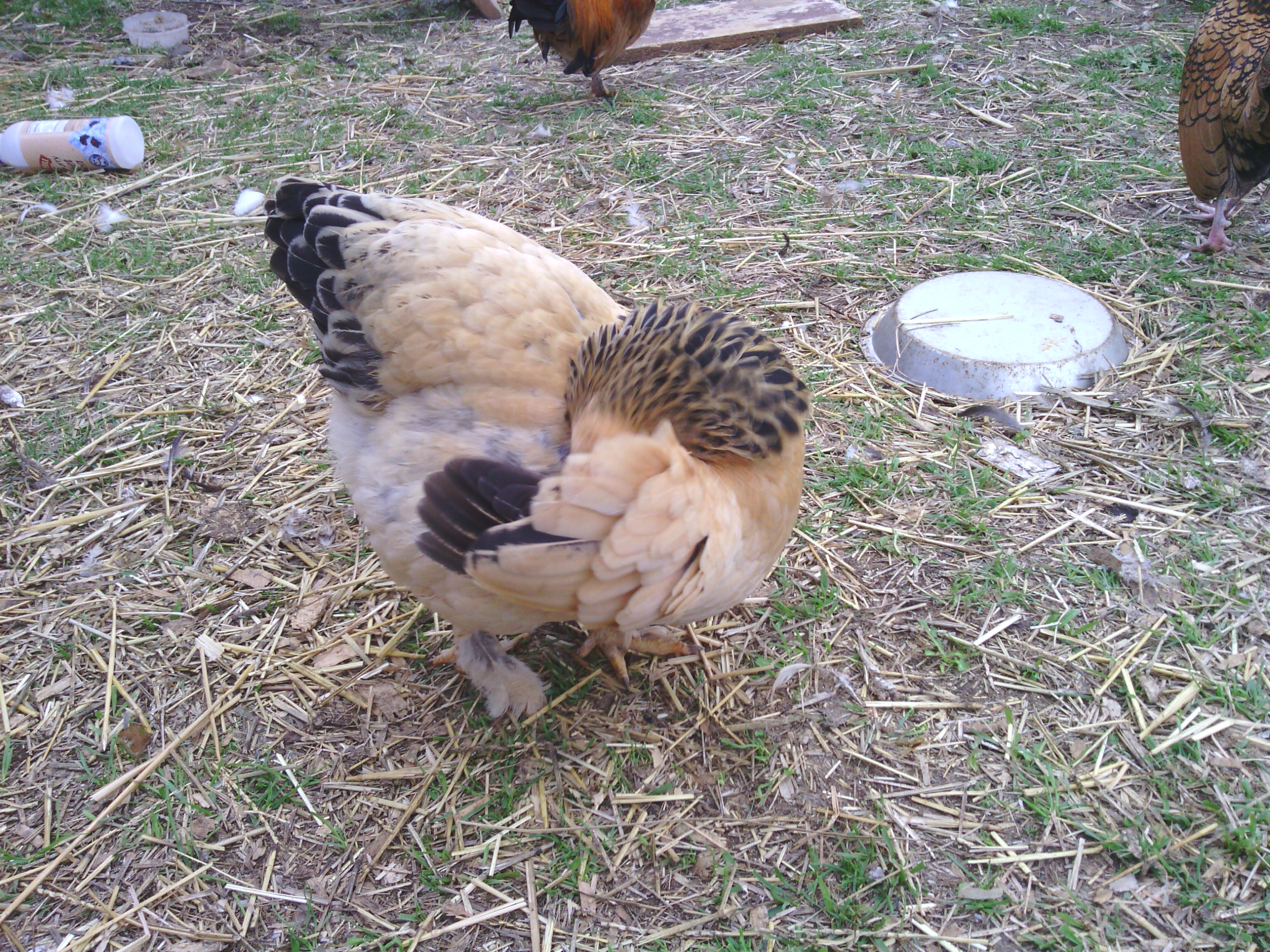 Camera shy