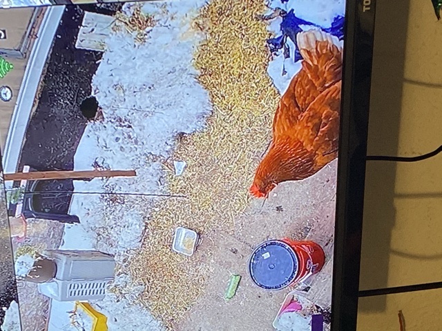 Camera view.jpeg