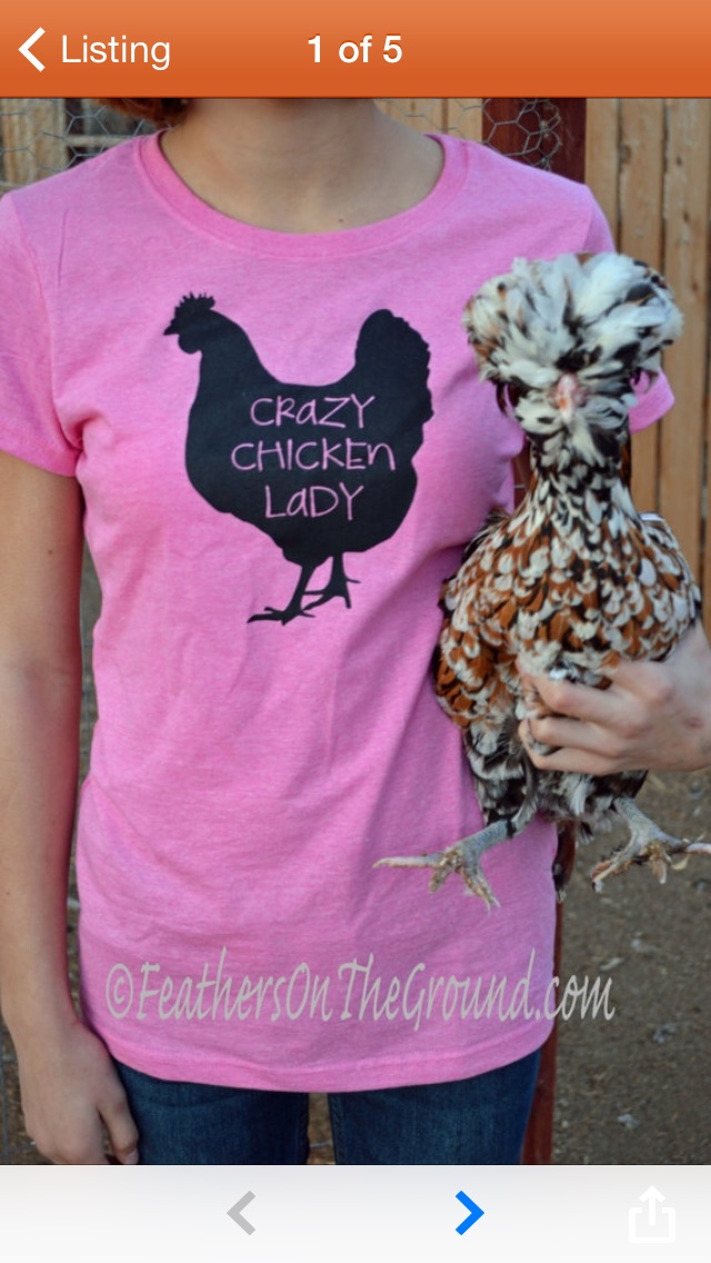 Can anyone tell me what kind of chicken this is!