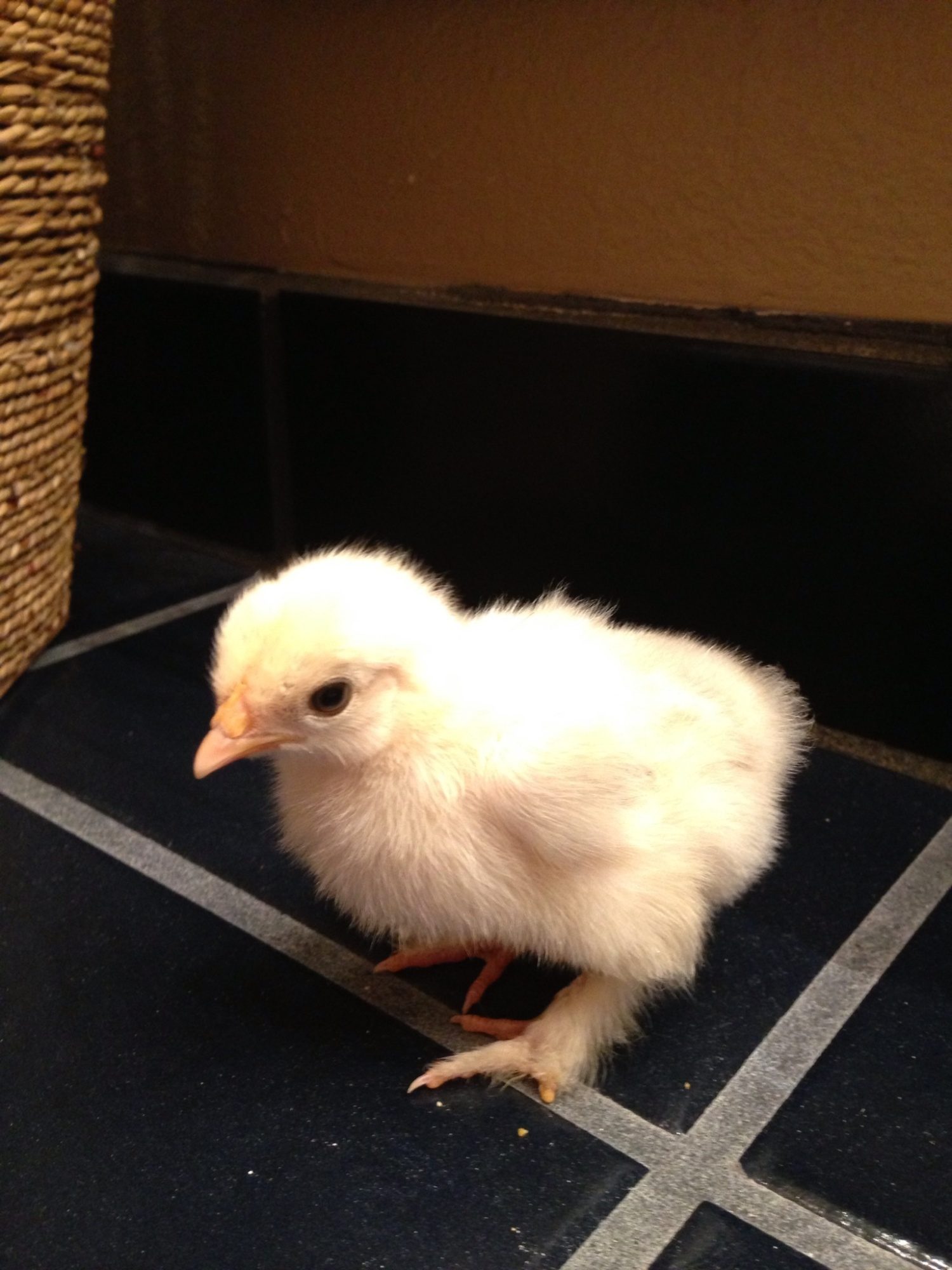Can be mille fleur...