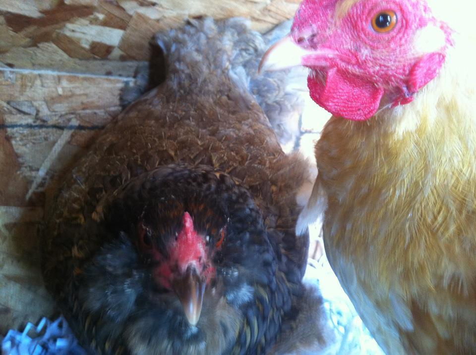 Can we help you?