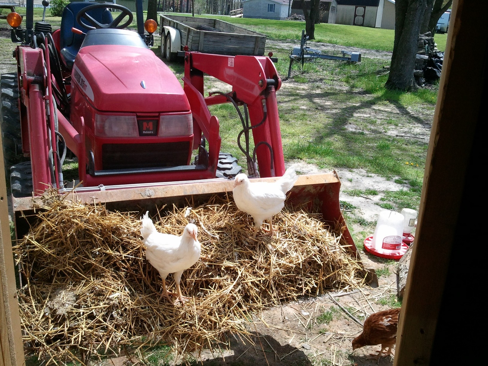 Can we Ride too!!