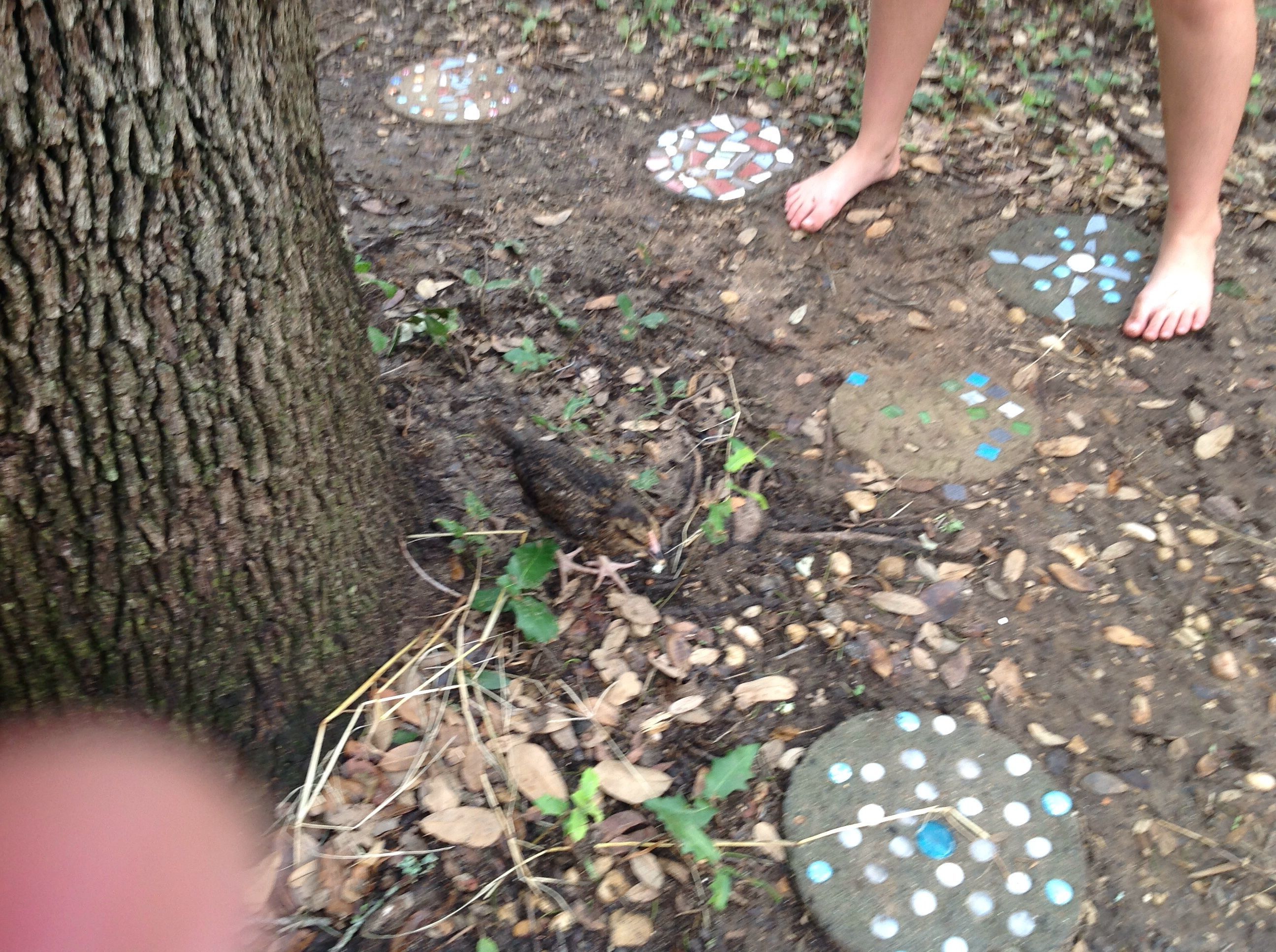 Can you see brownie?