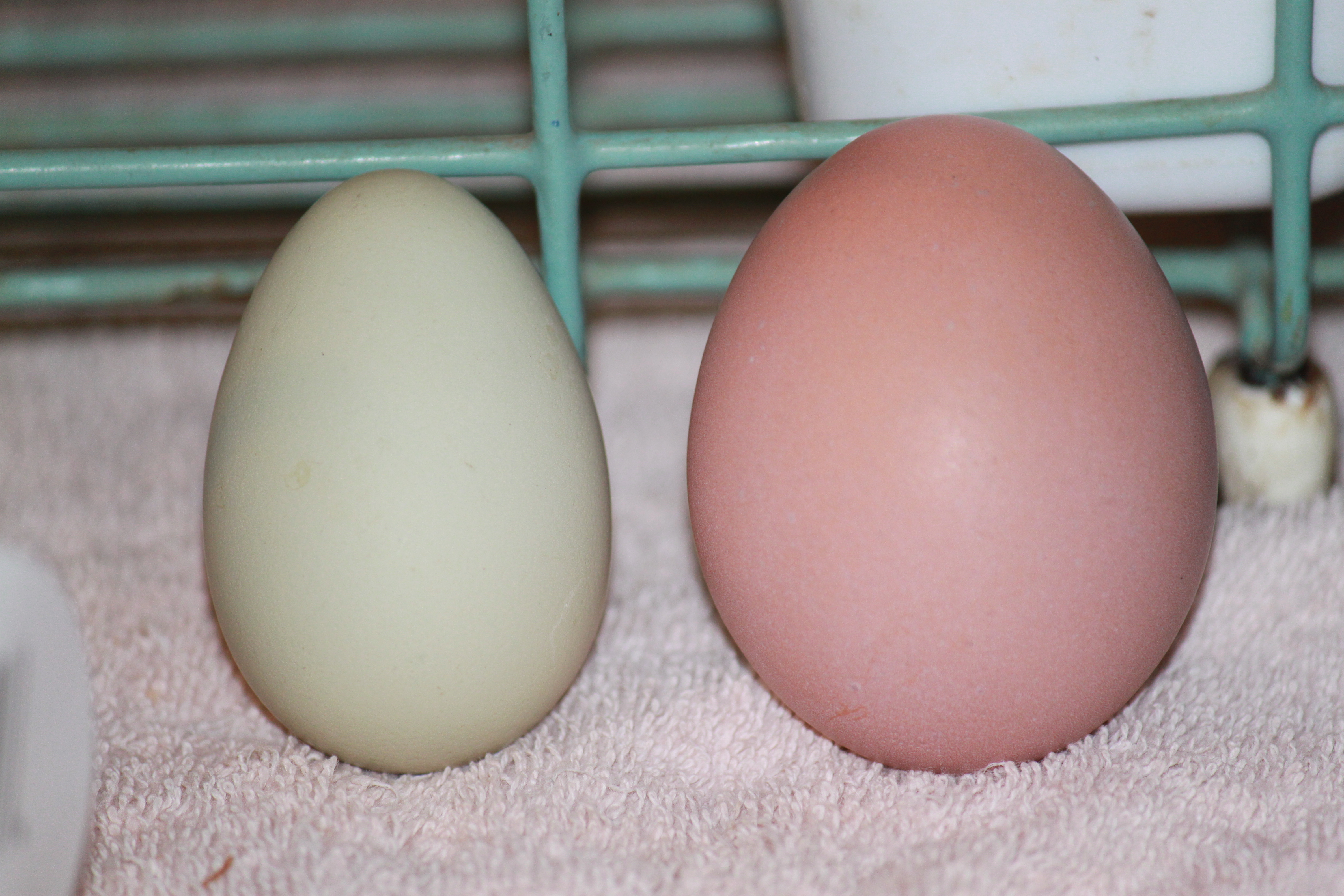 Can you spot the difference?