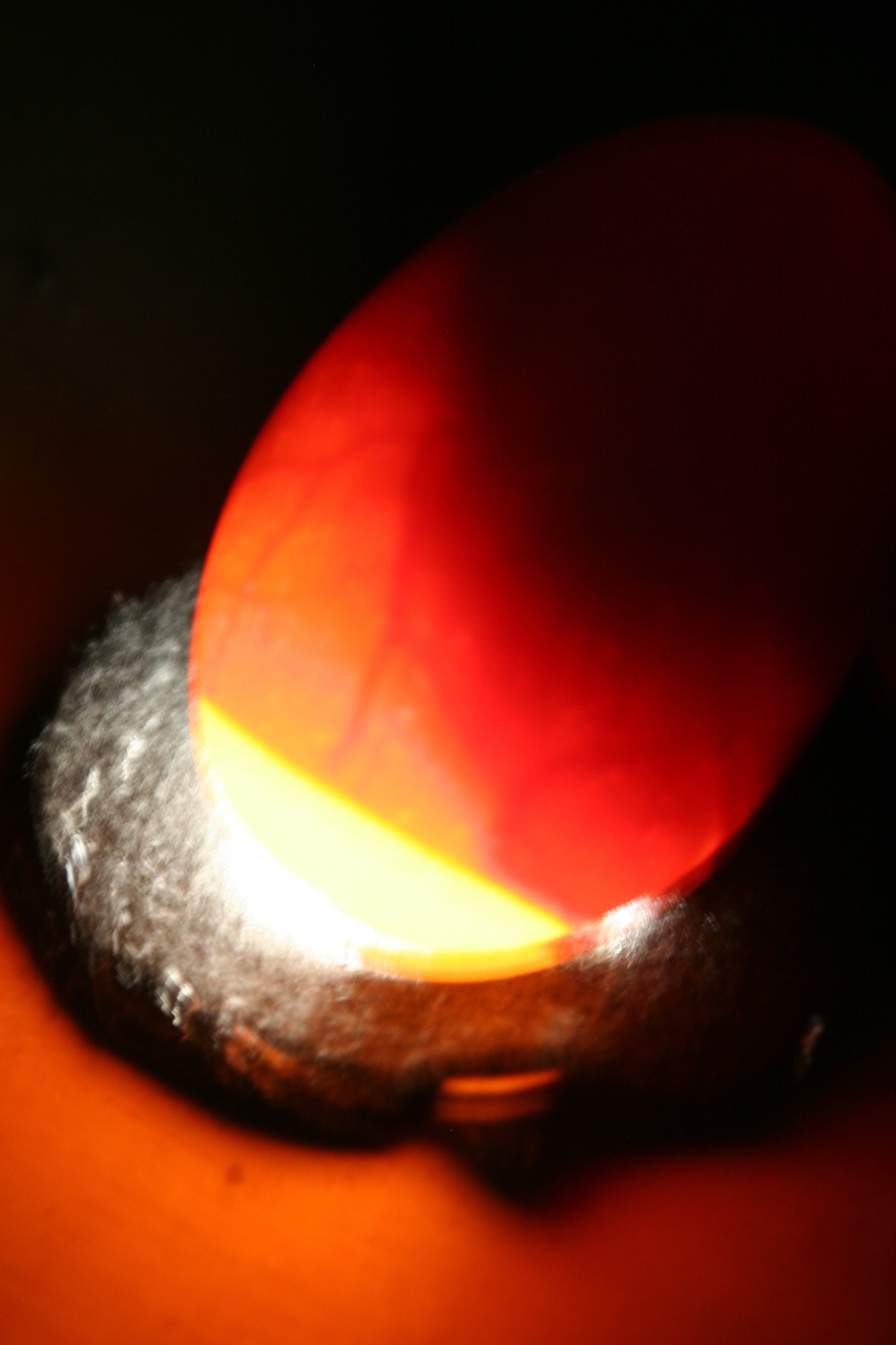 Candled egg using LED (60w equivalent, 750 lumens?).  Bulb cover removed.