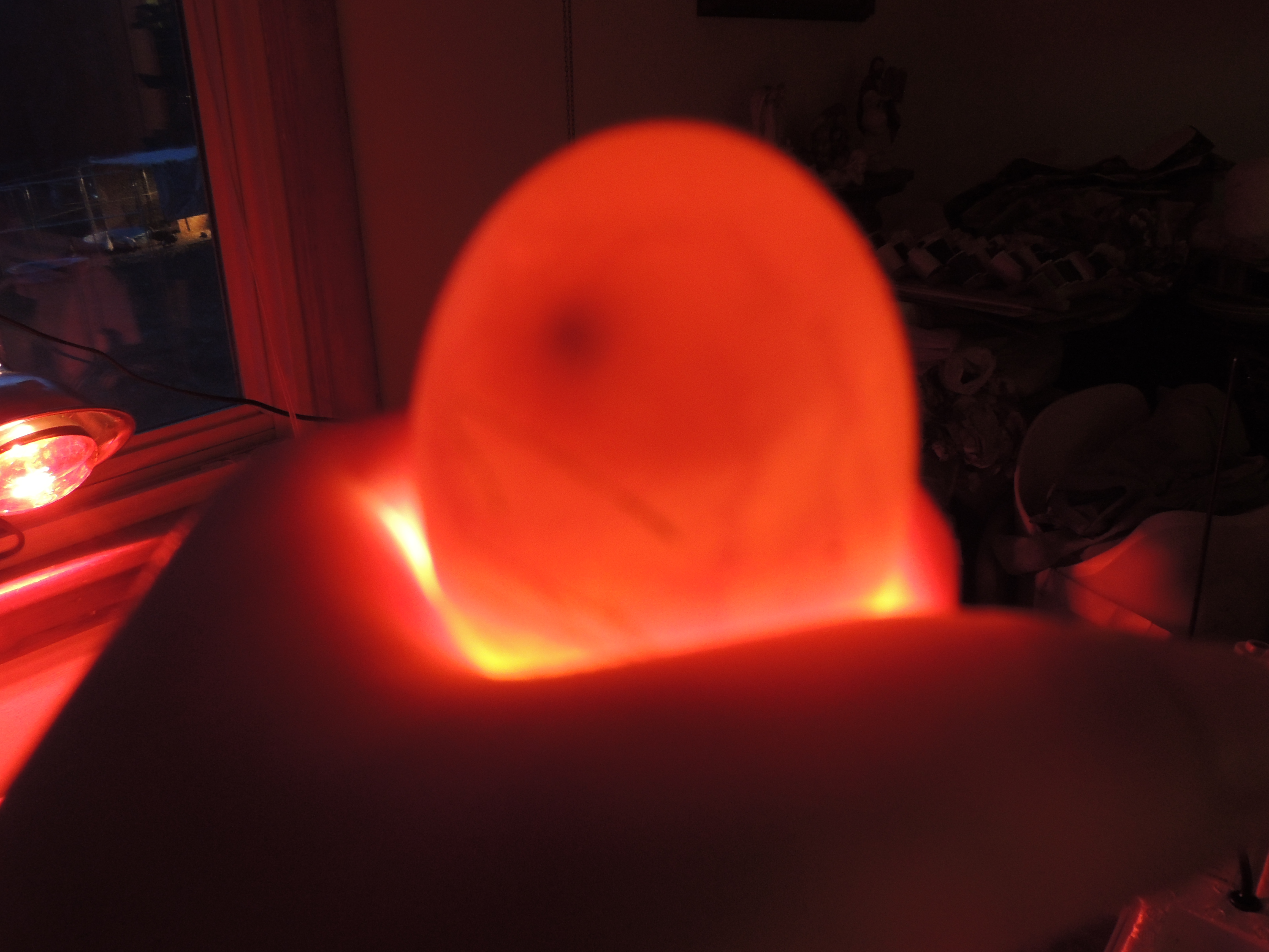 candling auction eggs