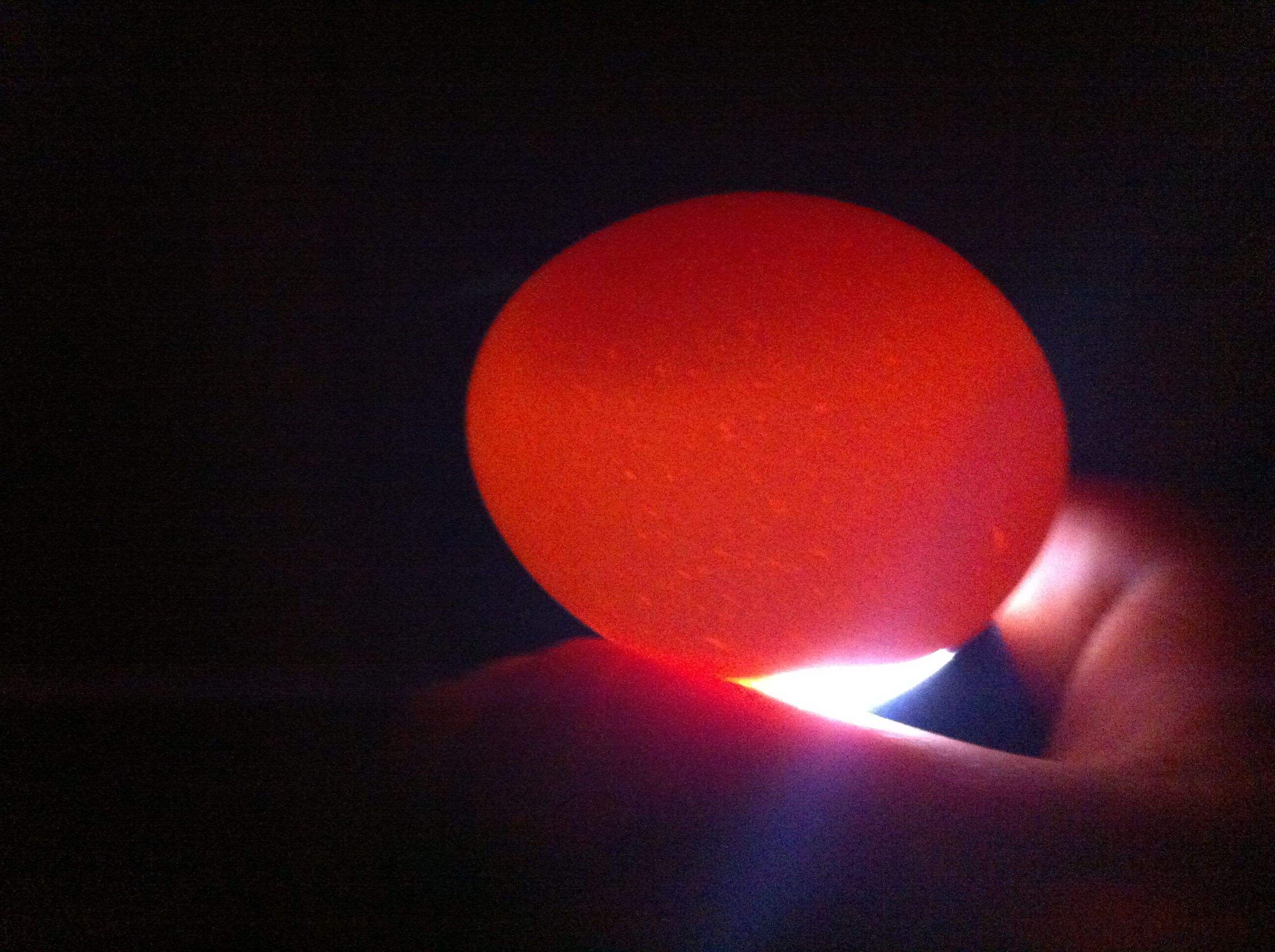 candling egg