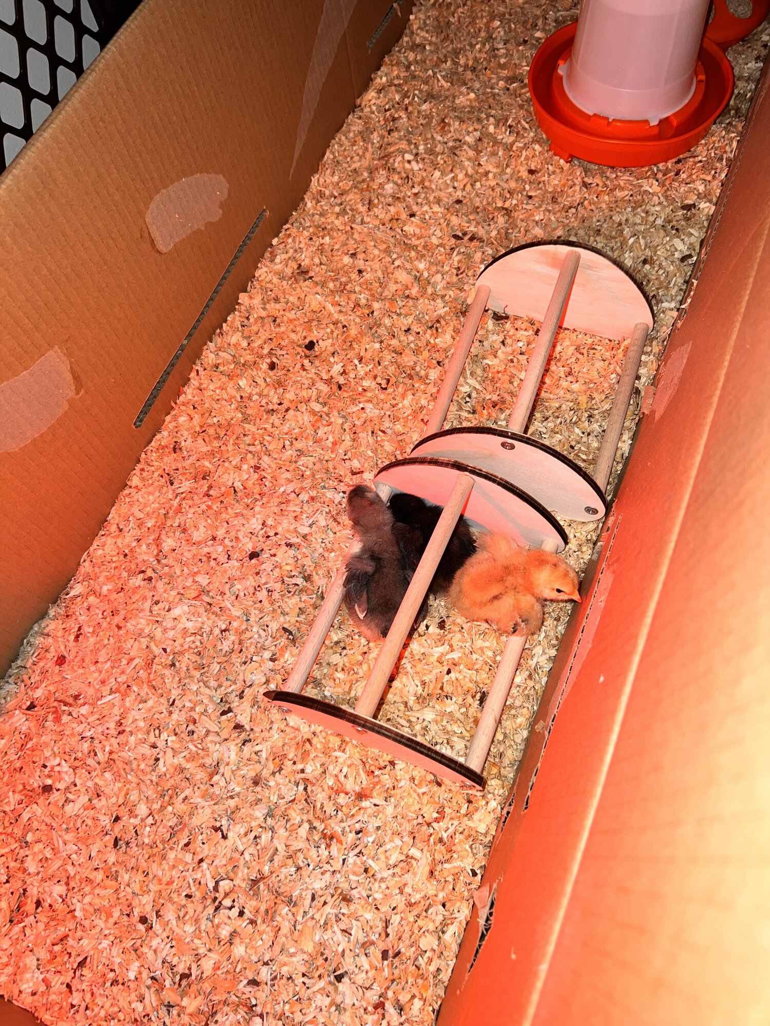 Candy, Pocahontas and Eeva